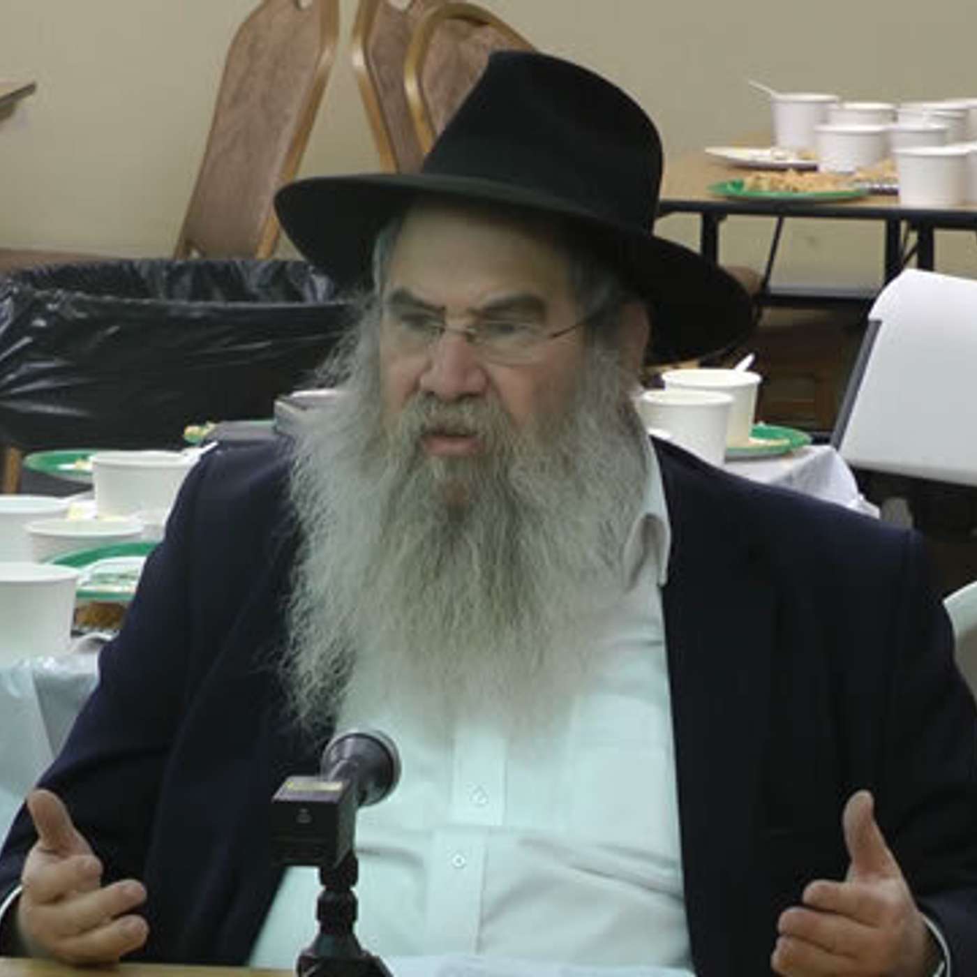 Rabbi Moshe Wolberg episode artwork