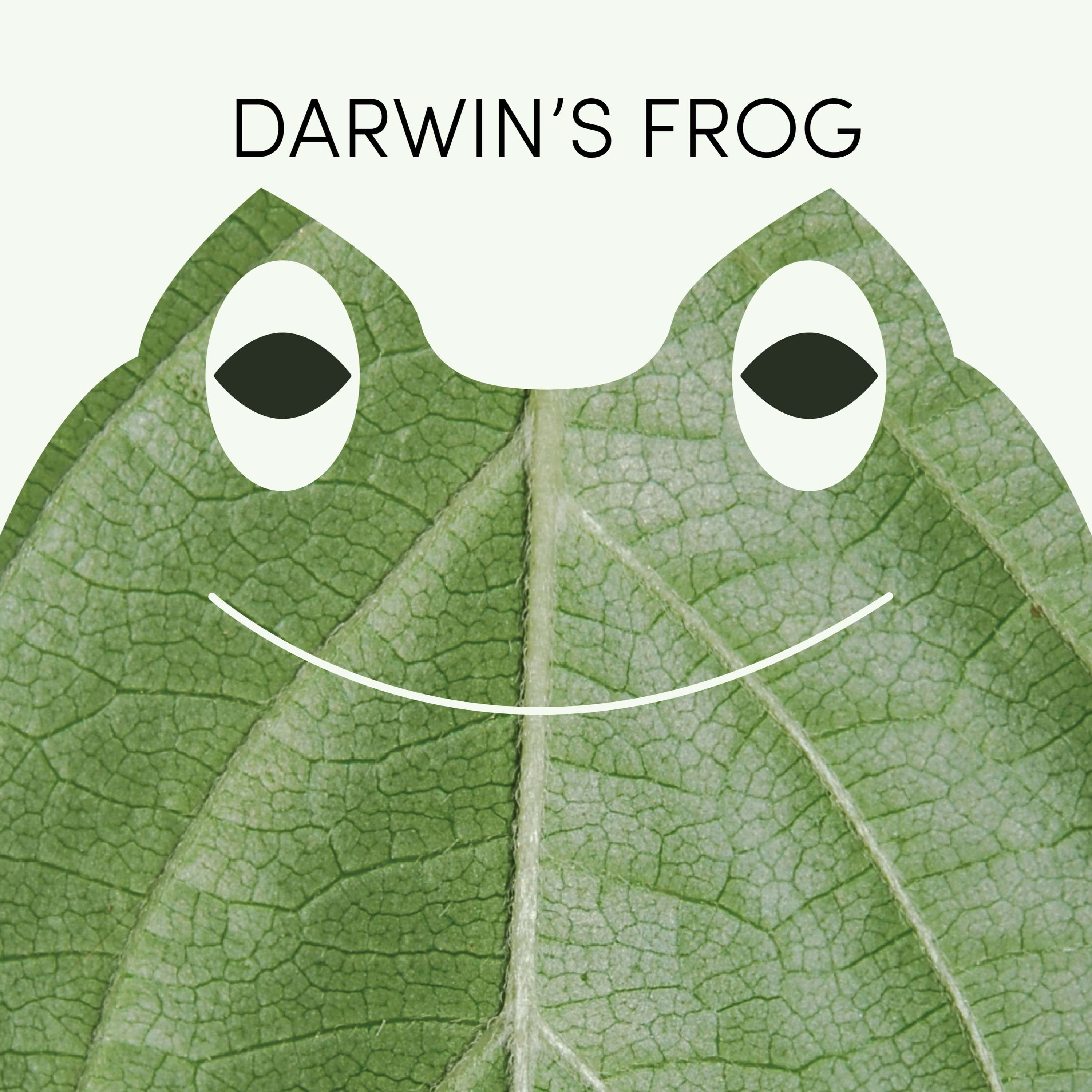 Darwin's Frog | Week of July 5th