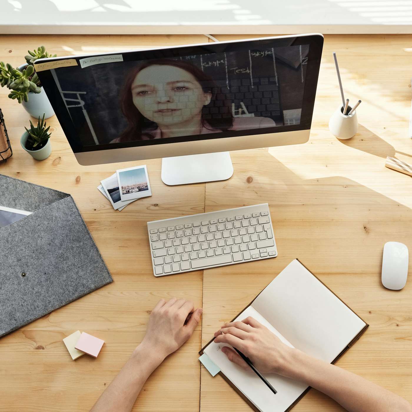 Hey Did You Know podcast with Shellane Demarest