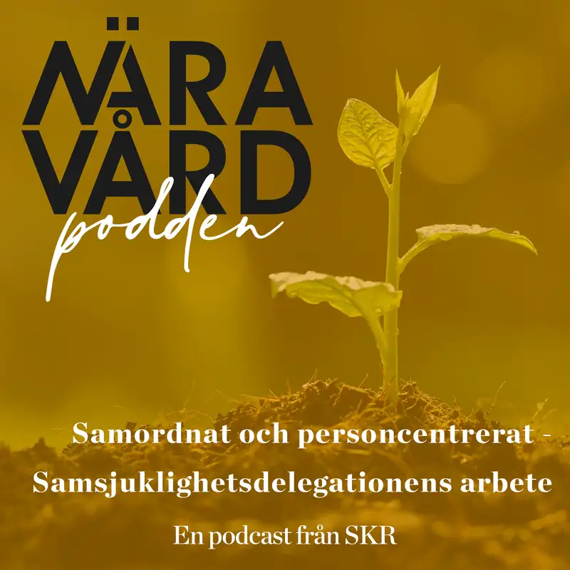 Samordnat och personcentrerat - Samsjuklighetsdelegationens arbete