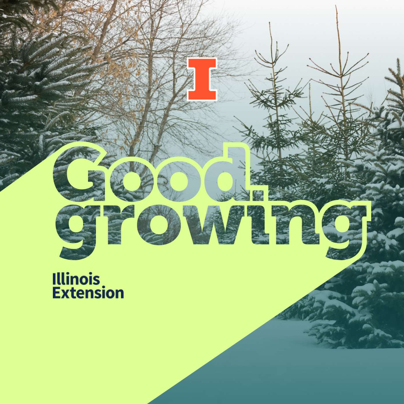 Good Growing