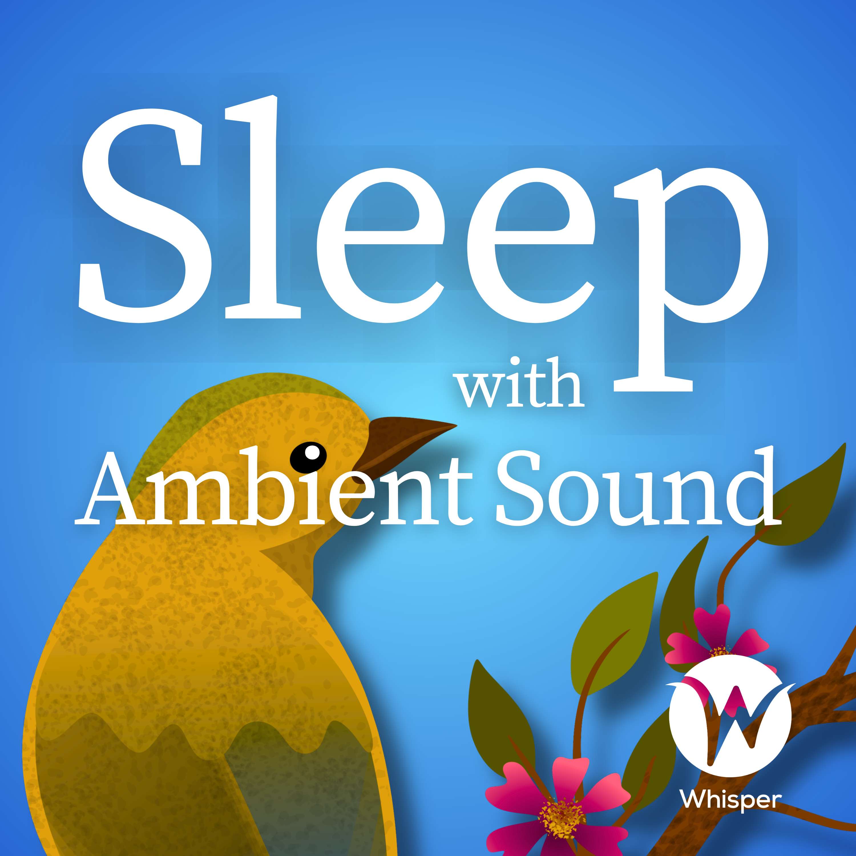 Sleep with Ambient Sound