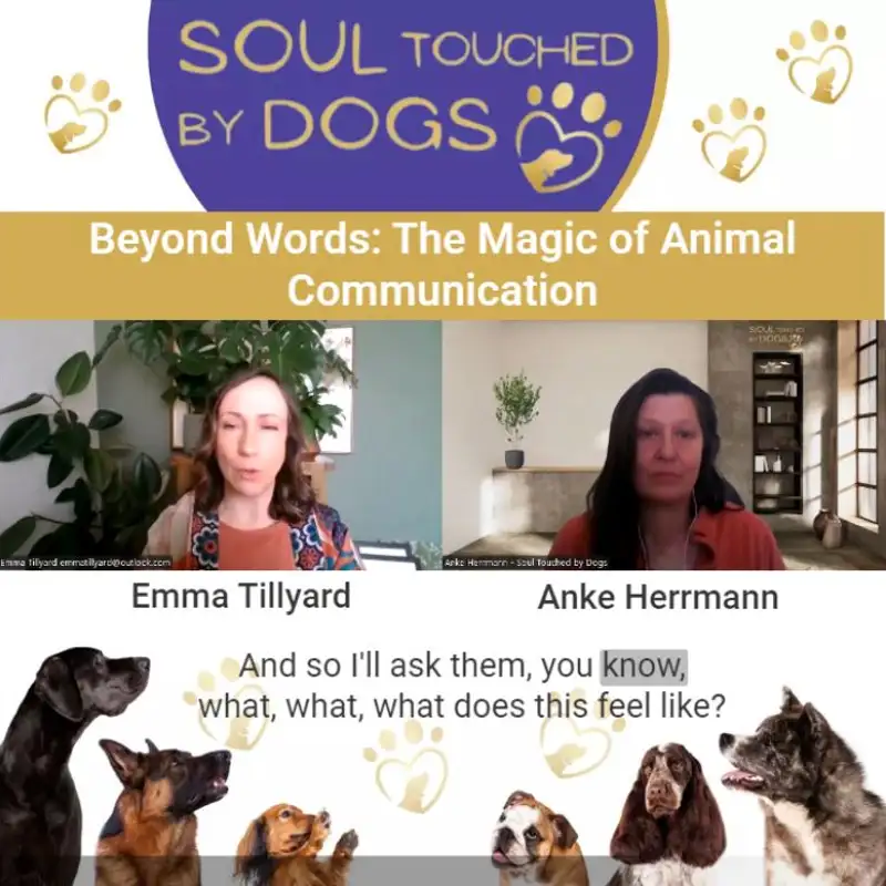 Emma Tillyard - Beyond Words: The Magic of Animal Communication
