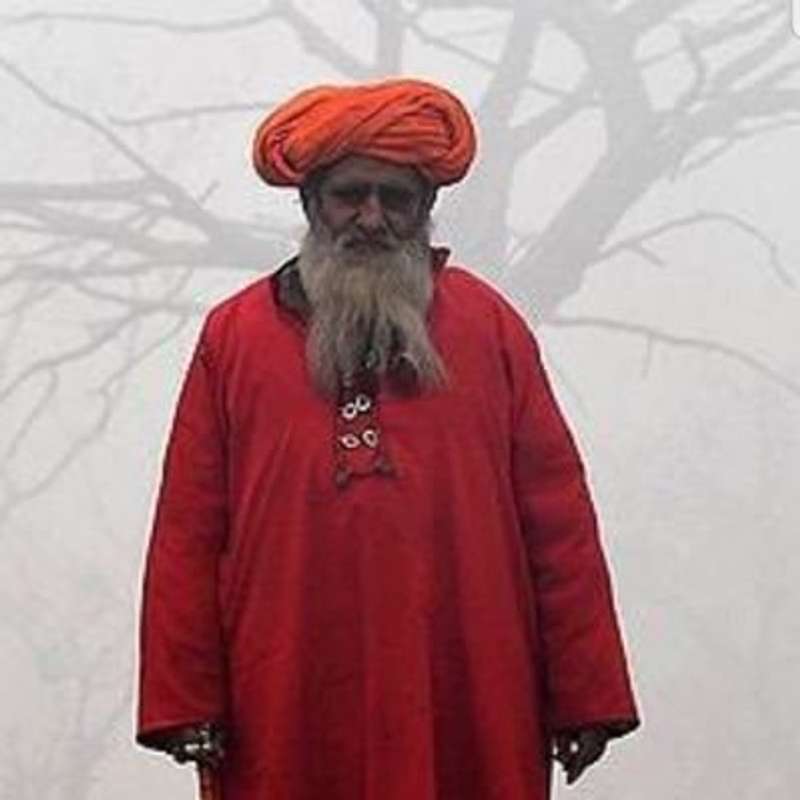 Feisal H. Naqvi