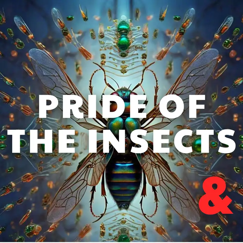 Pride of the insects