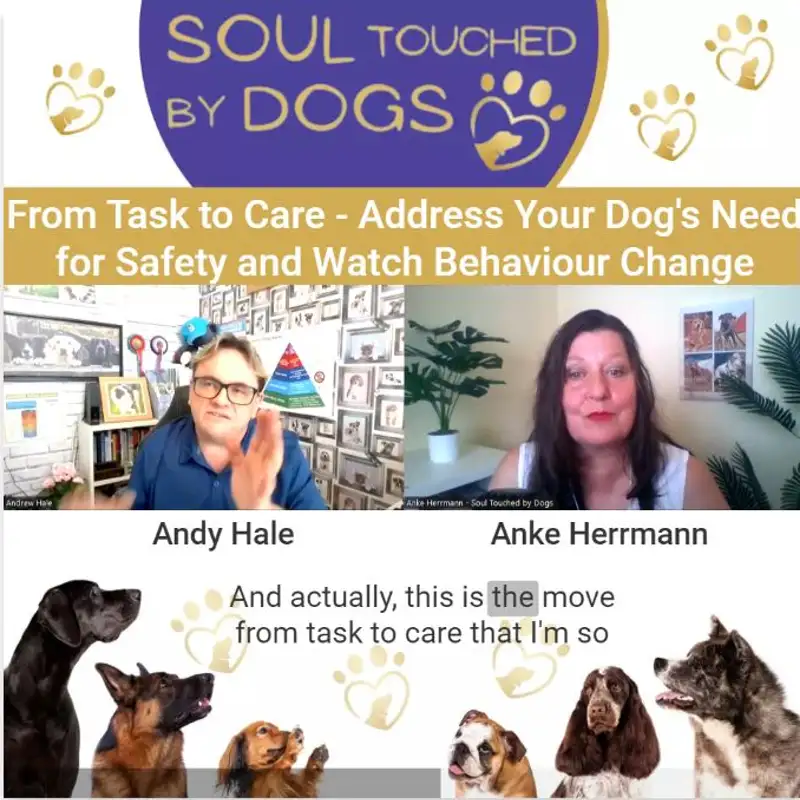 Andy Hale - From Task to Care - Address Your Dog's Need for Safety and Watch Behaviour Change