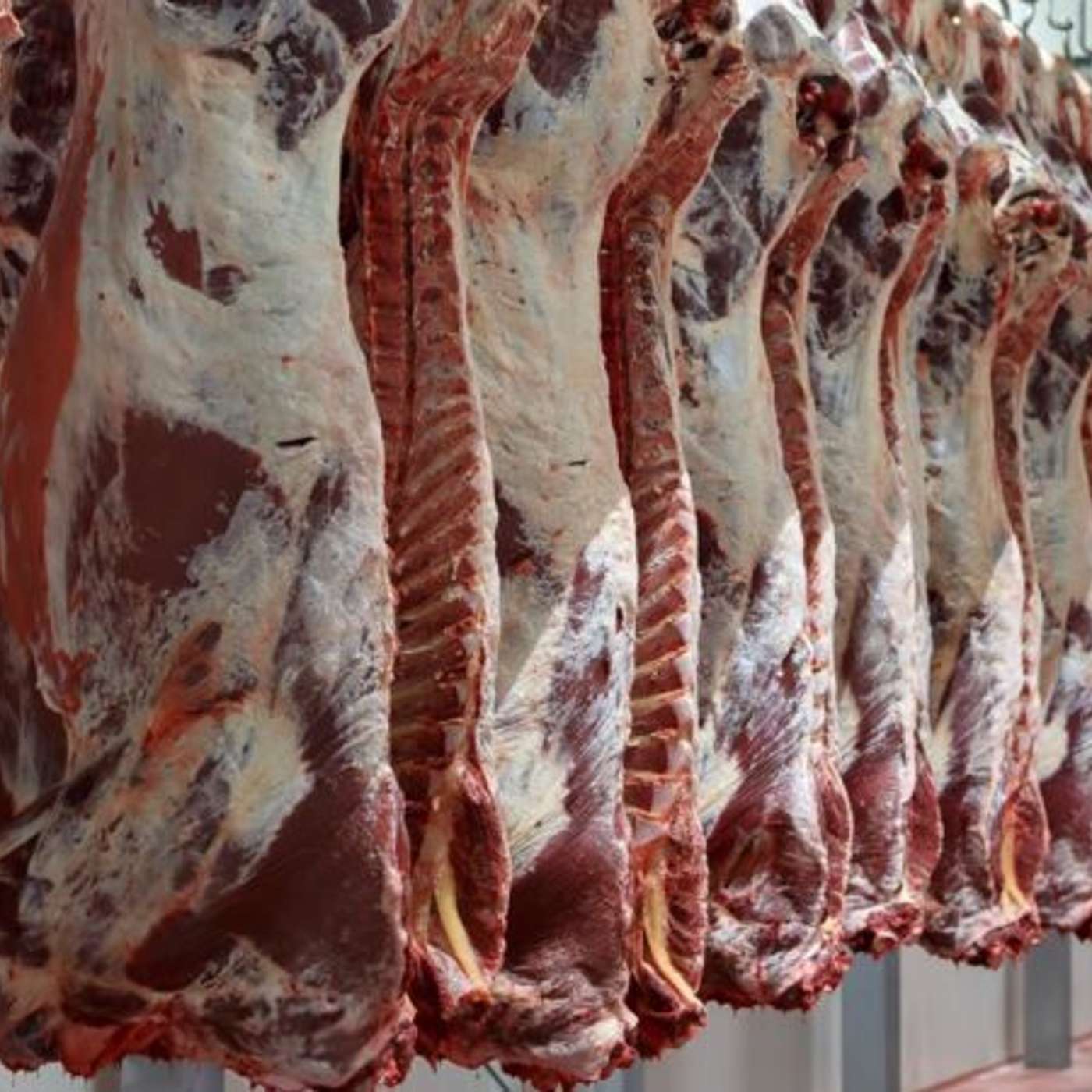 The Beef Edge