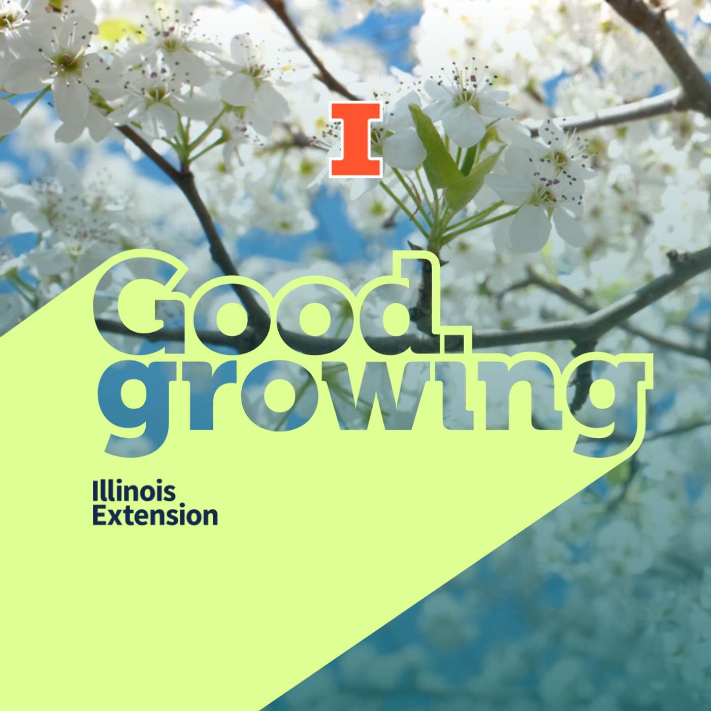 Ep. 206 Answering your spring gardening questions | #GoodGrowing
