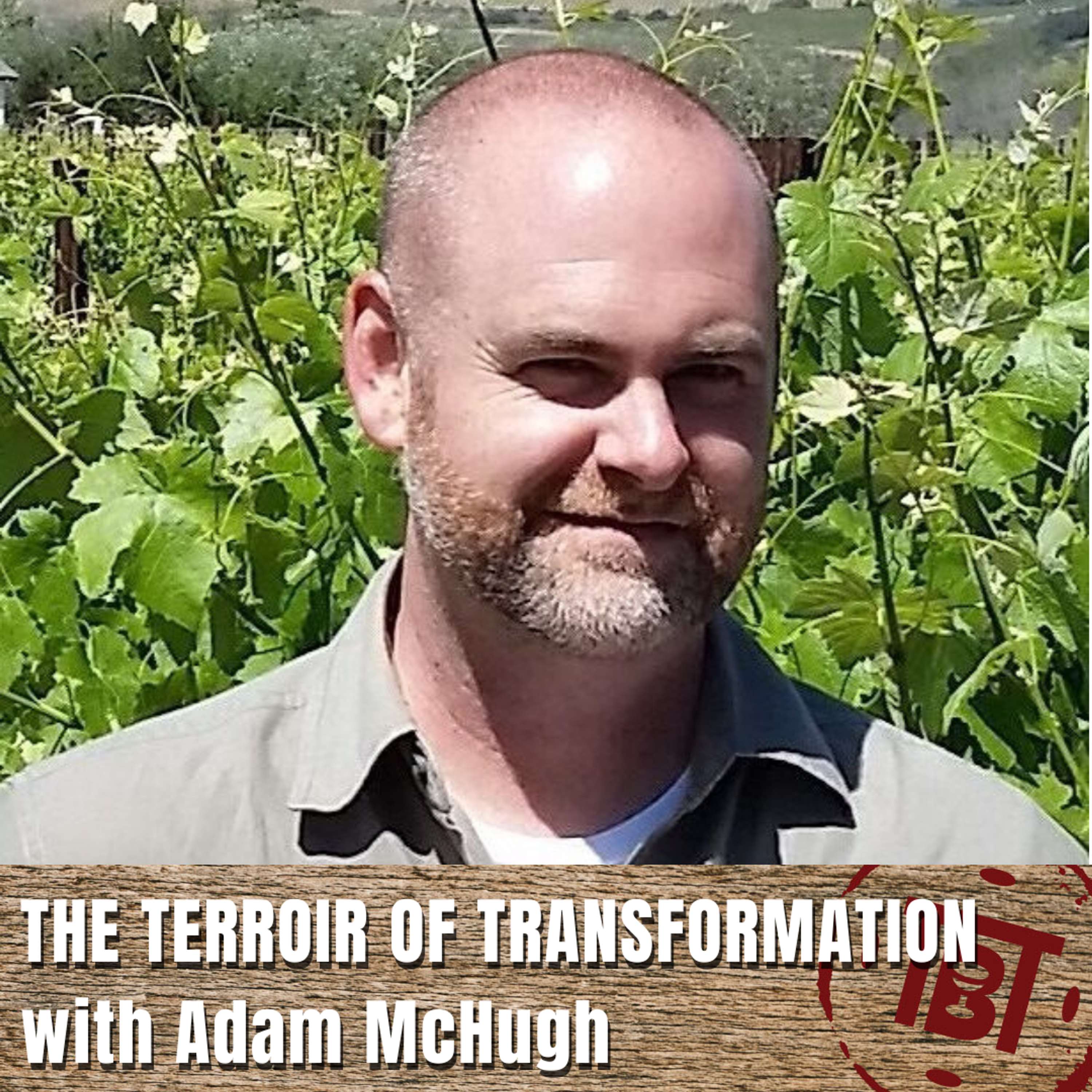 The Terroir of Transformation with Adam McHugh