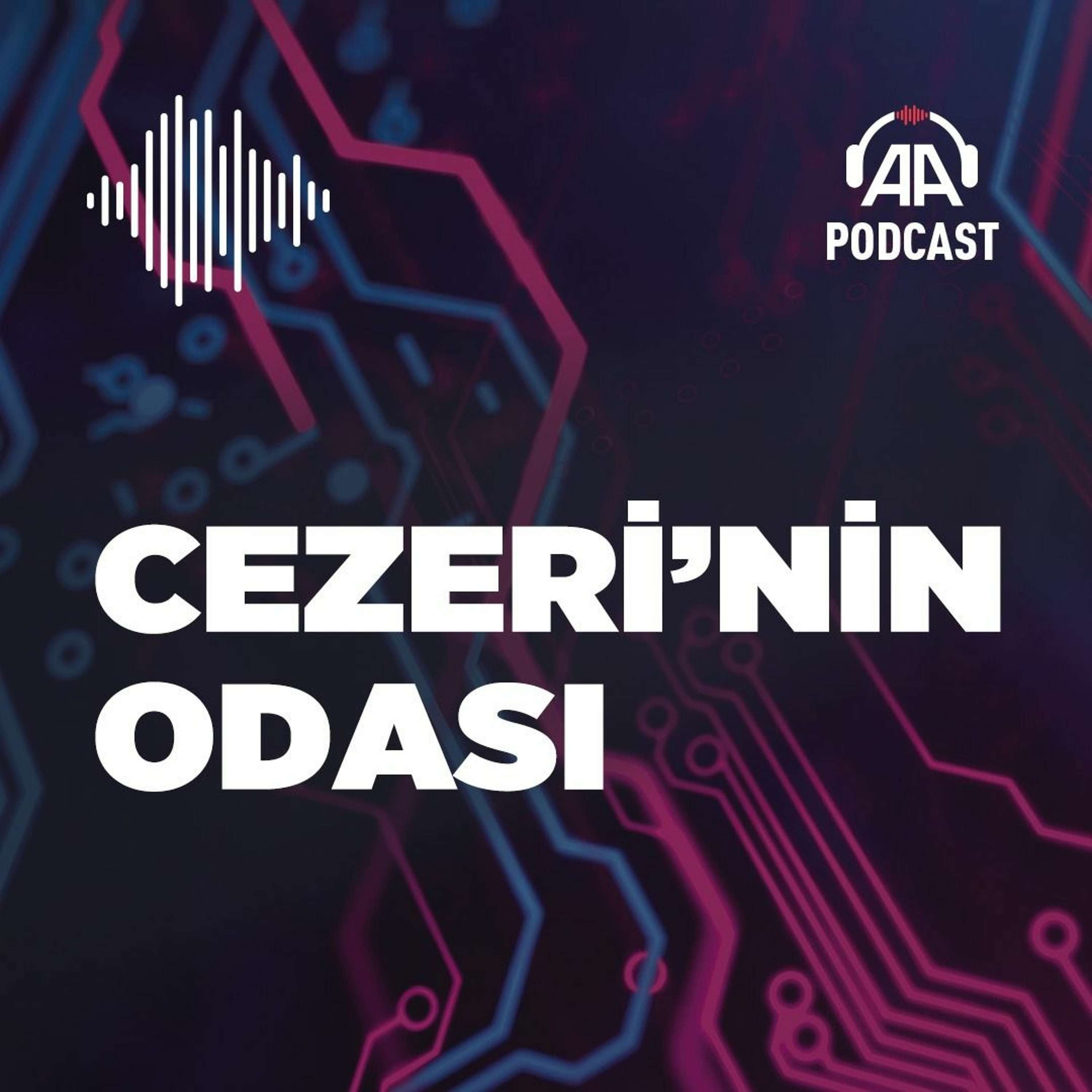 Analiz ve görüşler