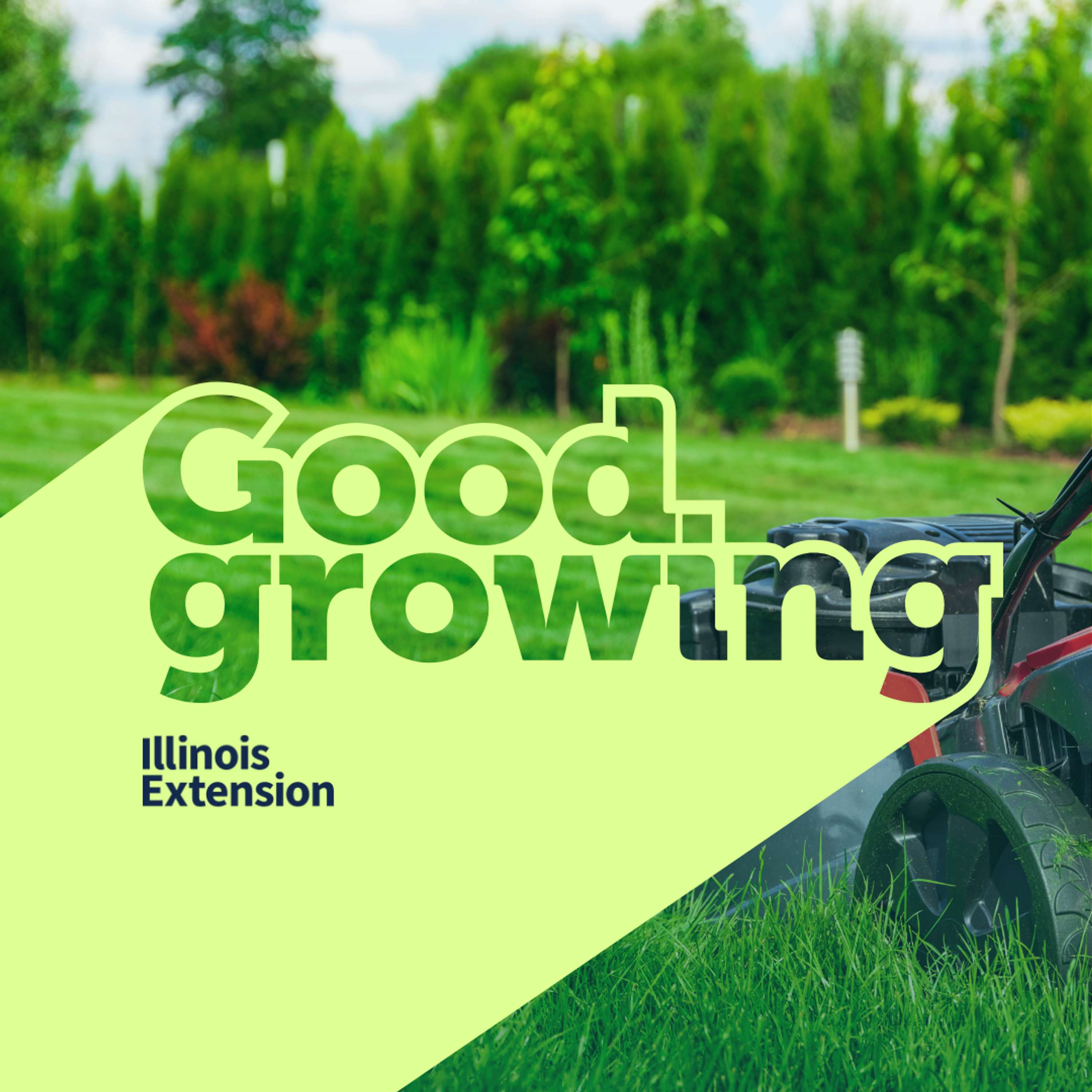 Ep. 173 Answering Common Lawn Questions | #GoodGrowing