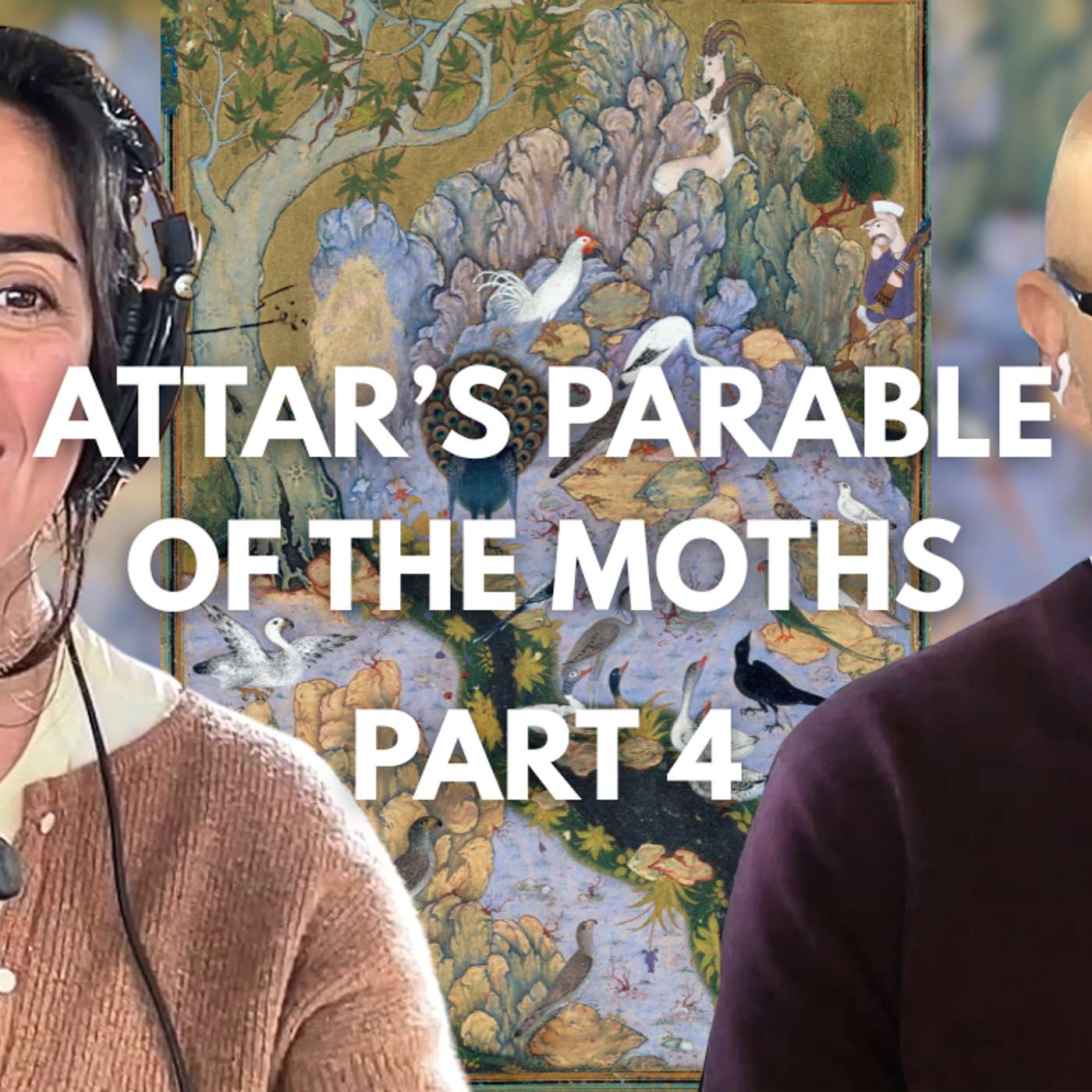 Culture | Attar's Parable of the Moths, Part 4