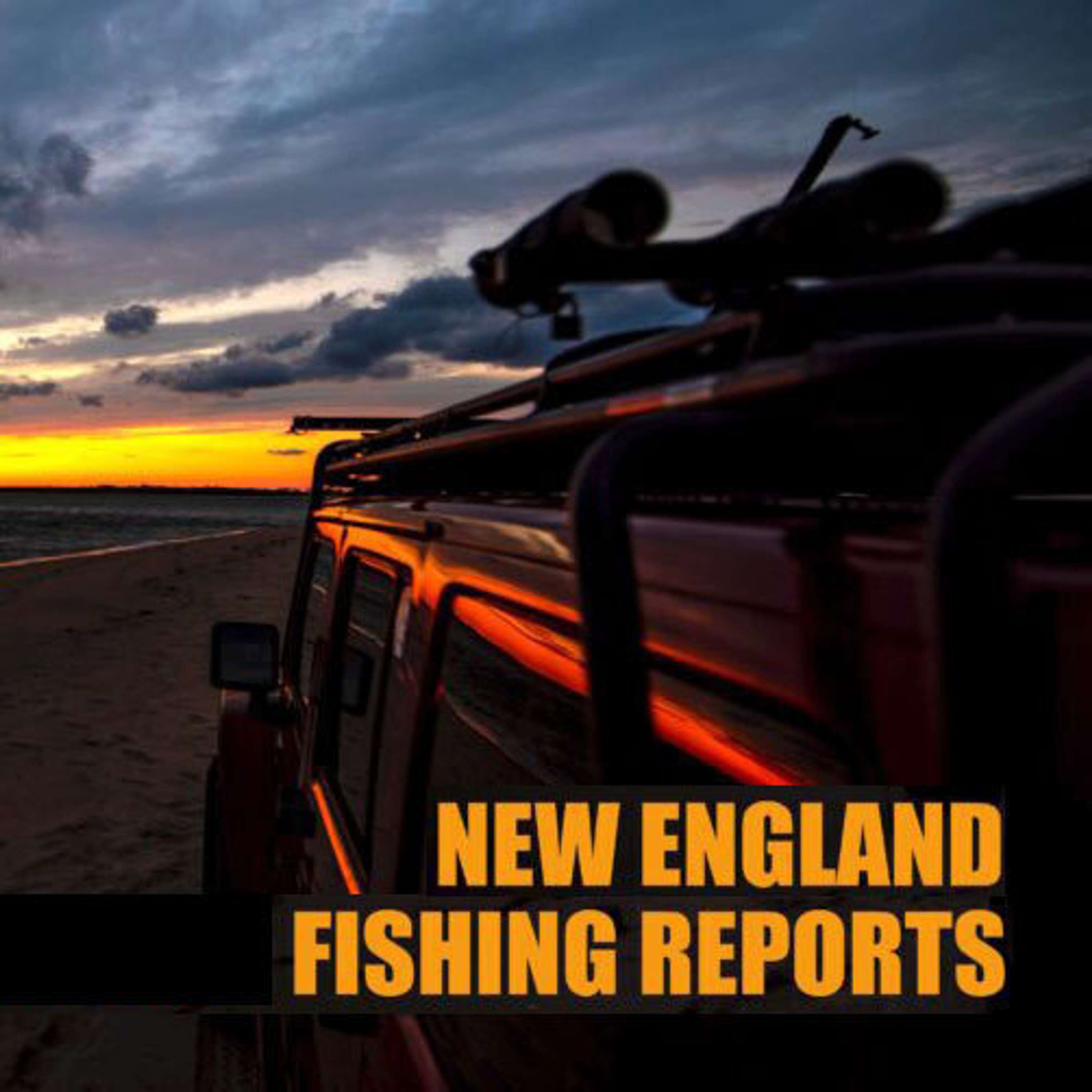 The Fisherman New England Fishing Reports