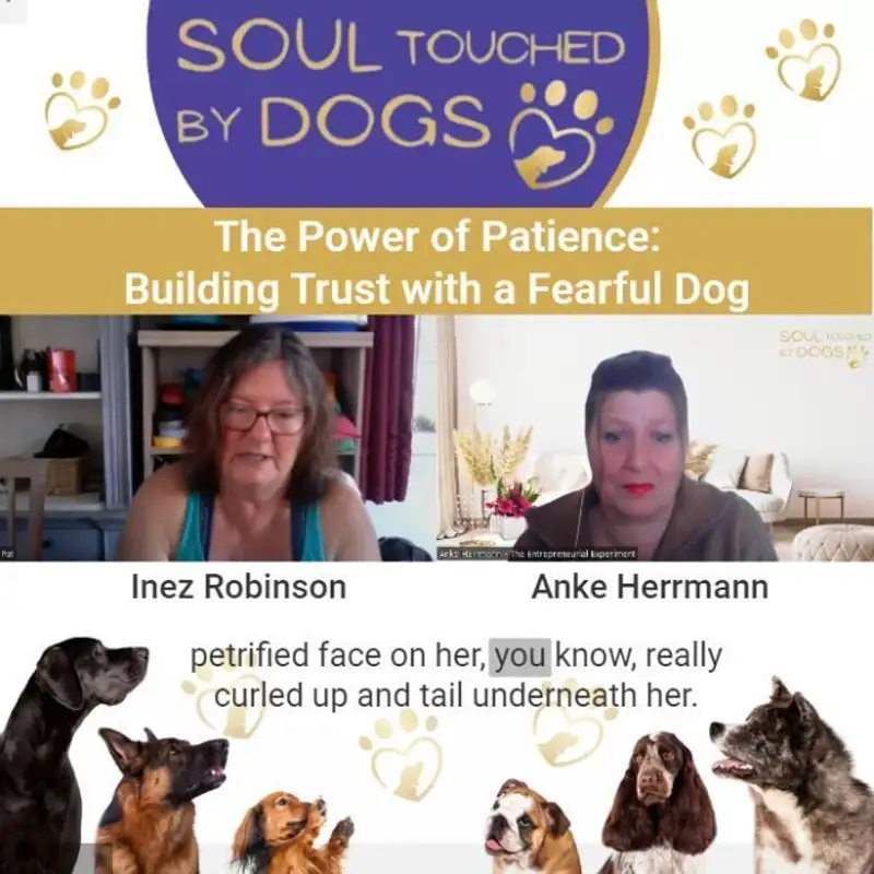 Inez Robinson - The Power of Patience: Building Trust with a Fearful Dog