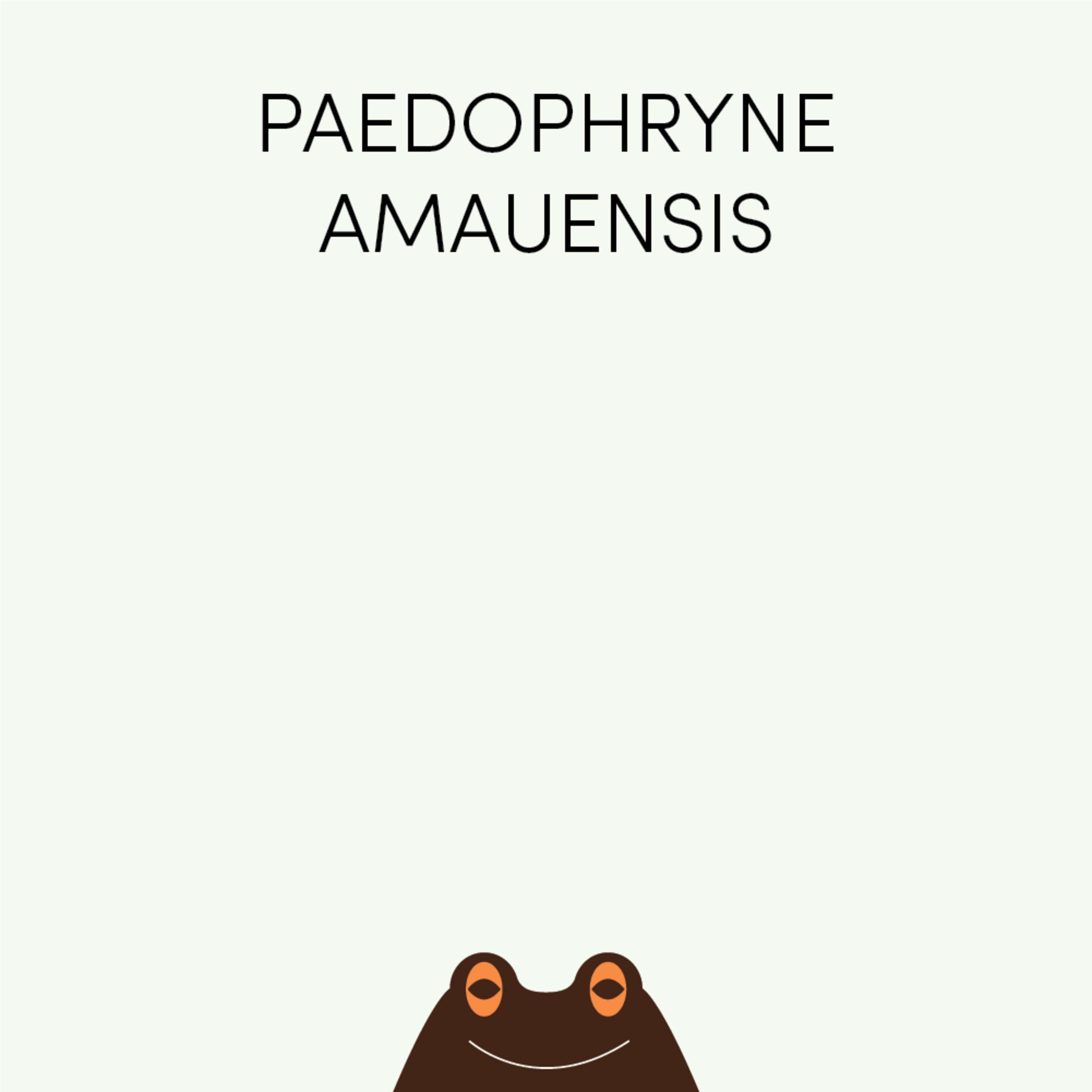 Paedophryne amauensis (Pete) | Week of May 2nd