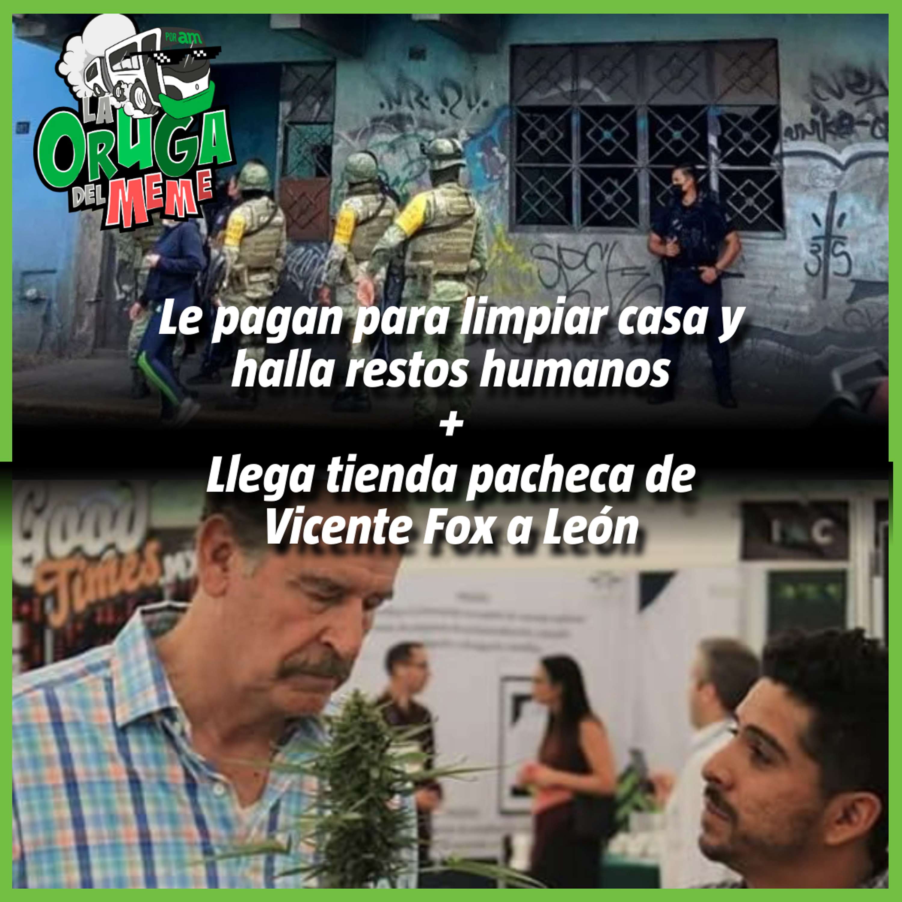 La Oruga del Meme
