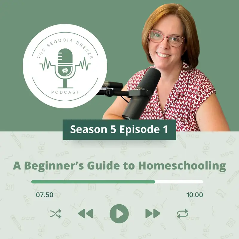 A Beginner's Guide to Homeschooling