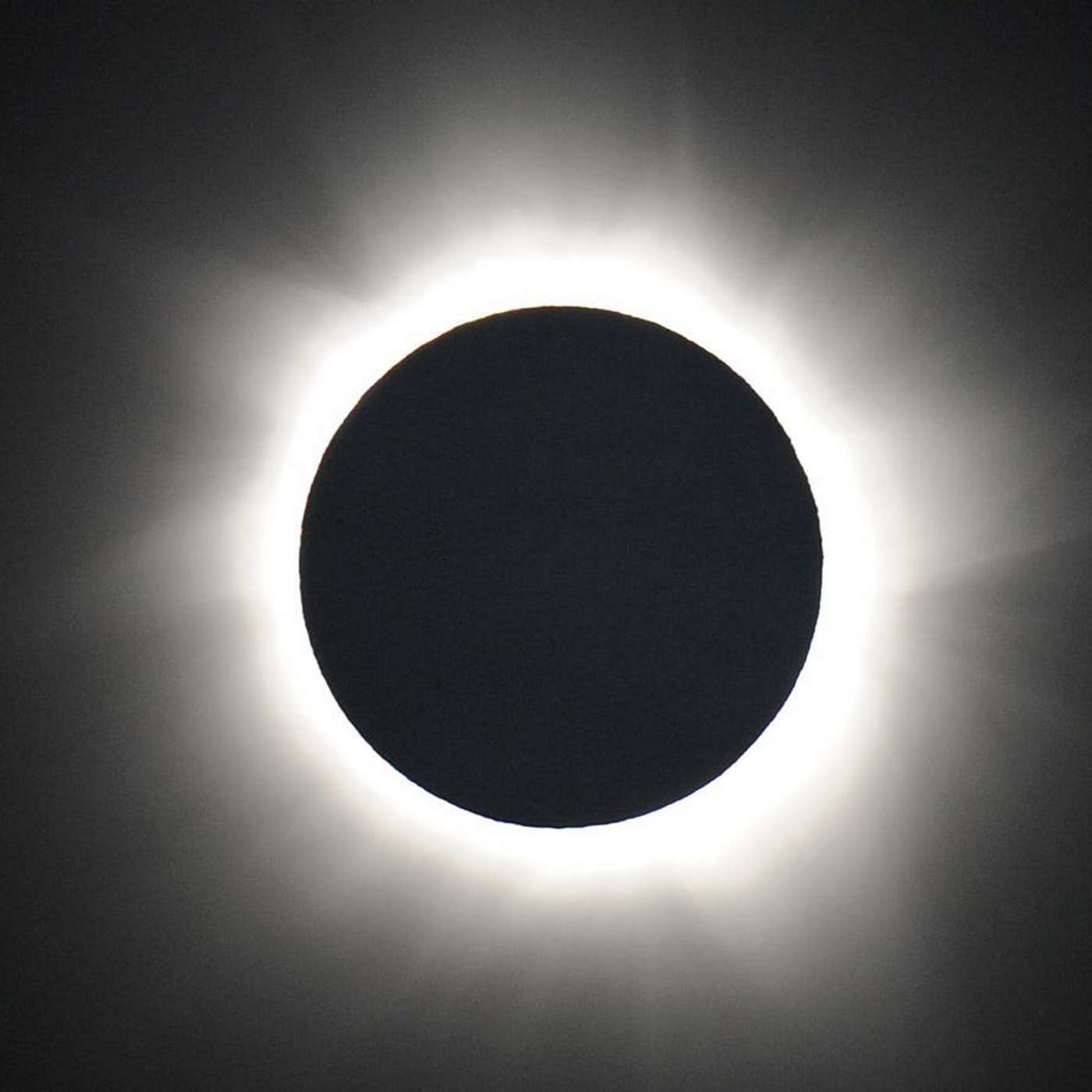 Science News Daily