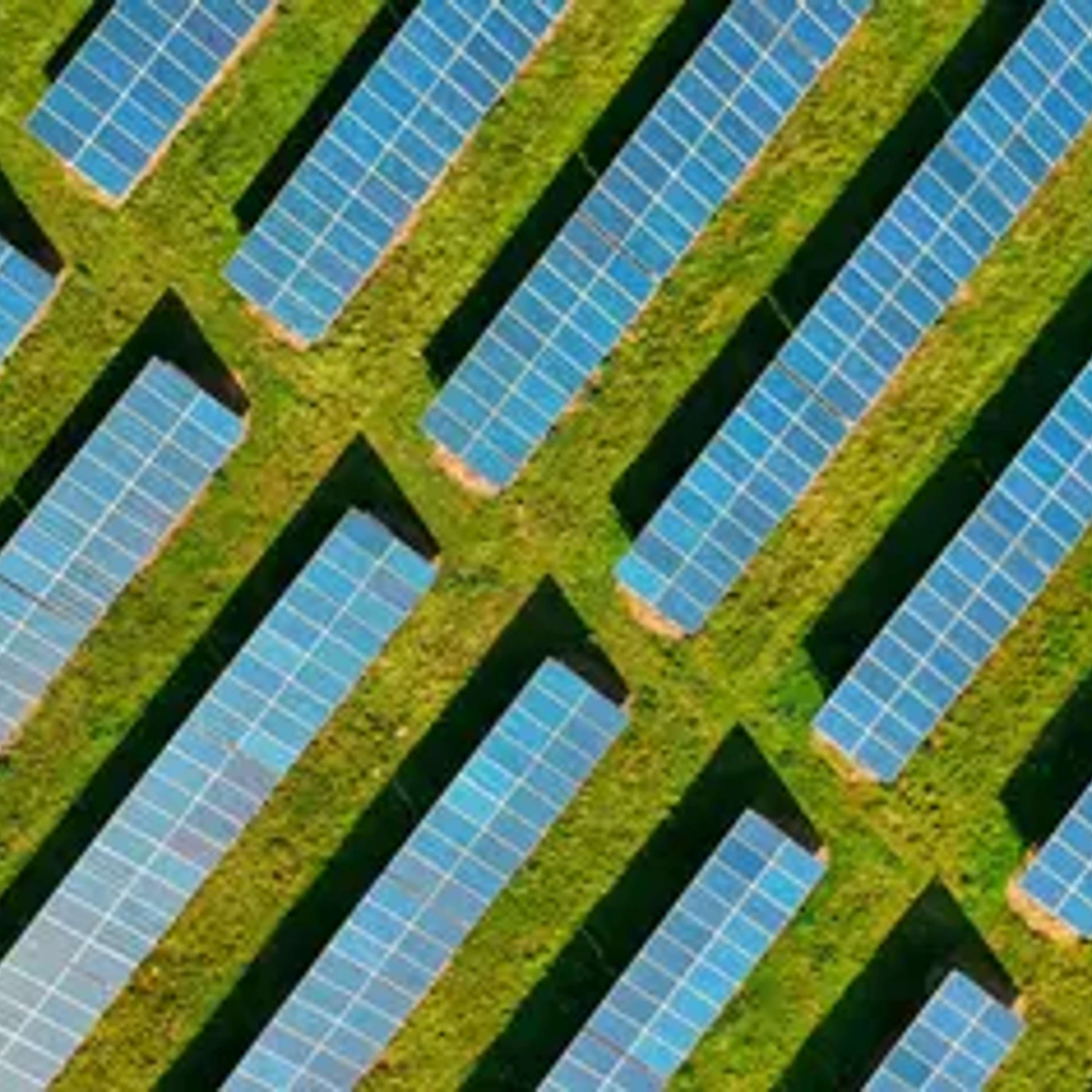 Climate transition heating up: The race for the clean energy transition in the Indo-Pacific