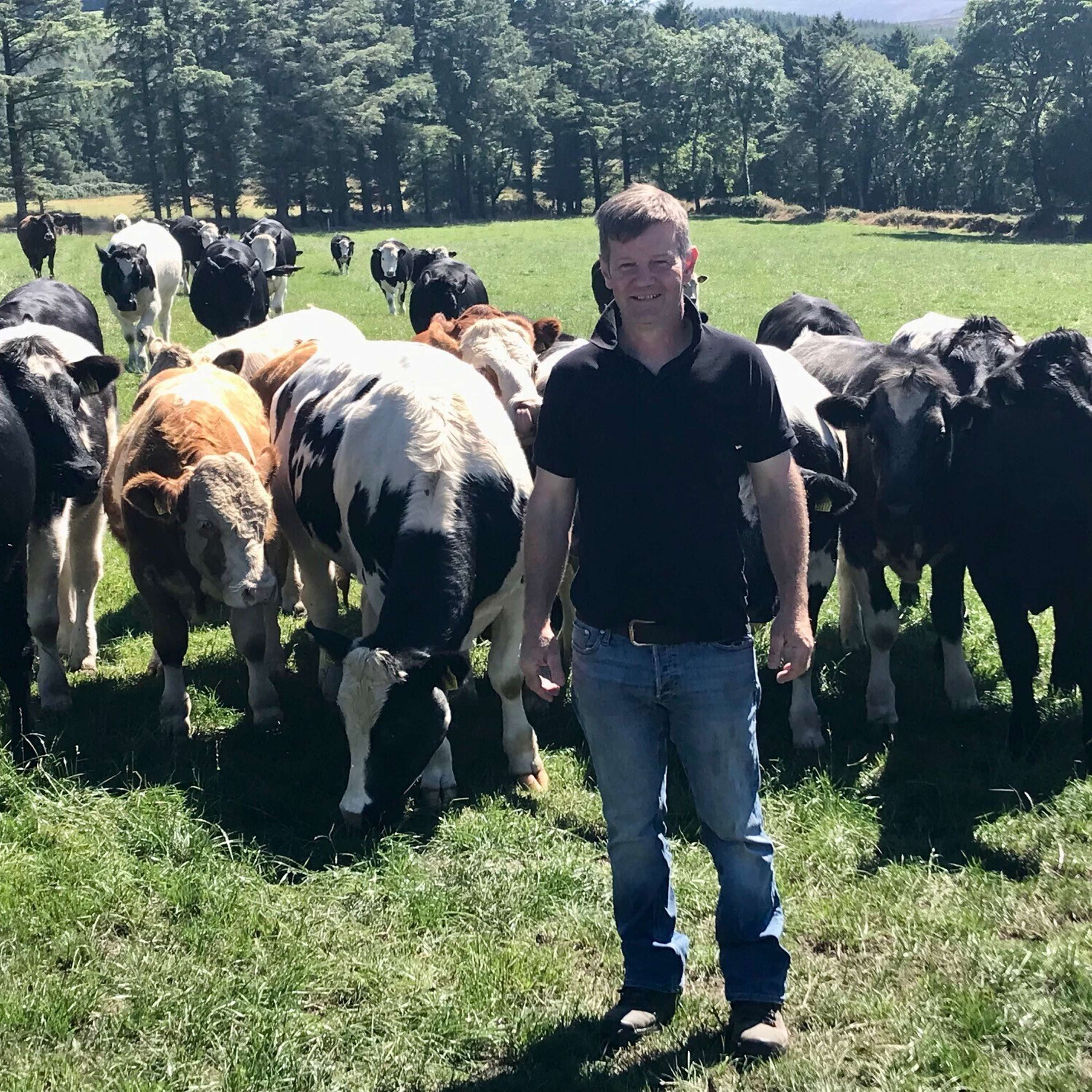 How DairyBeef 500 farmer, Richard Long, is reducing age at slaughter on his farm