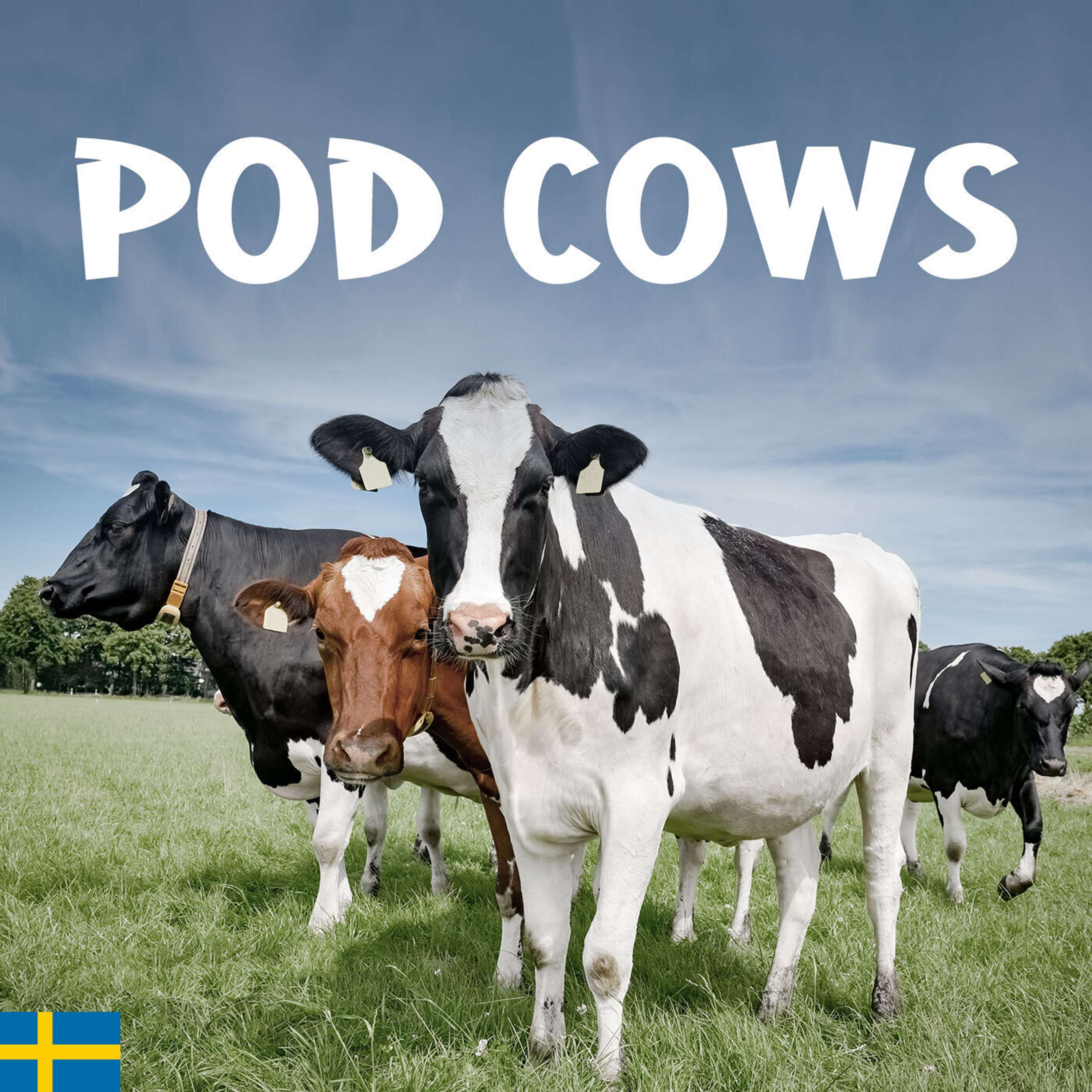 PodCows (SE)