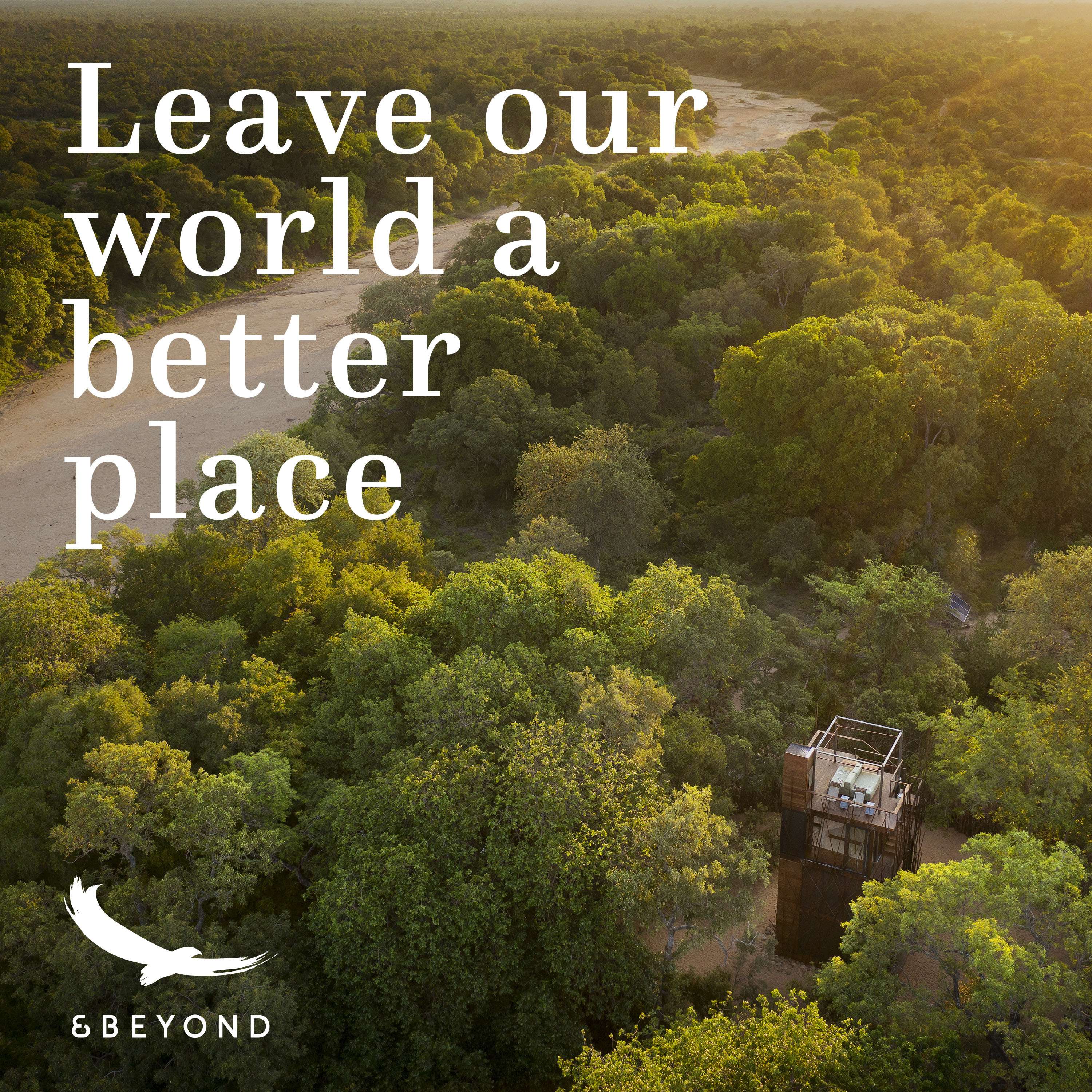 Better World
