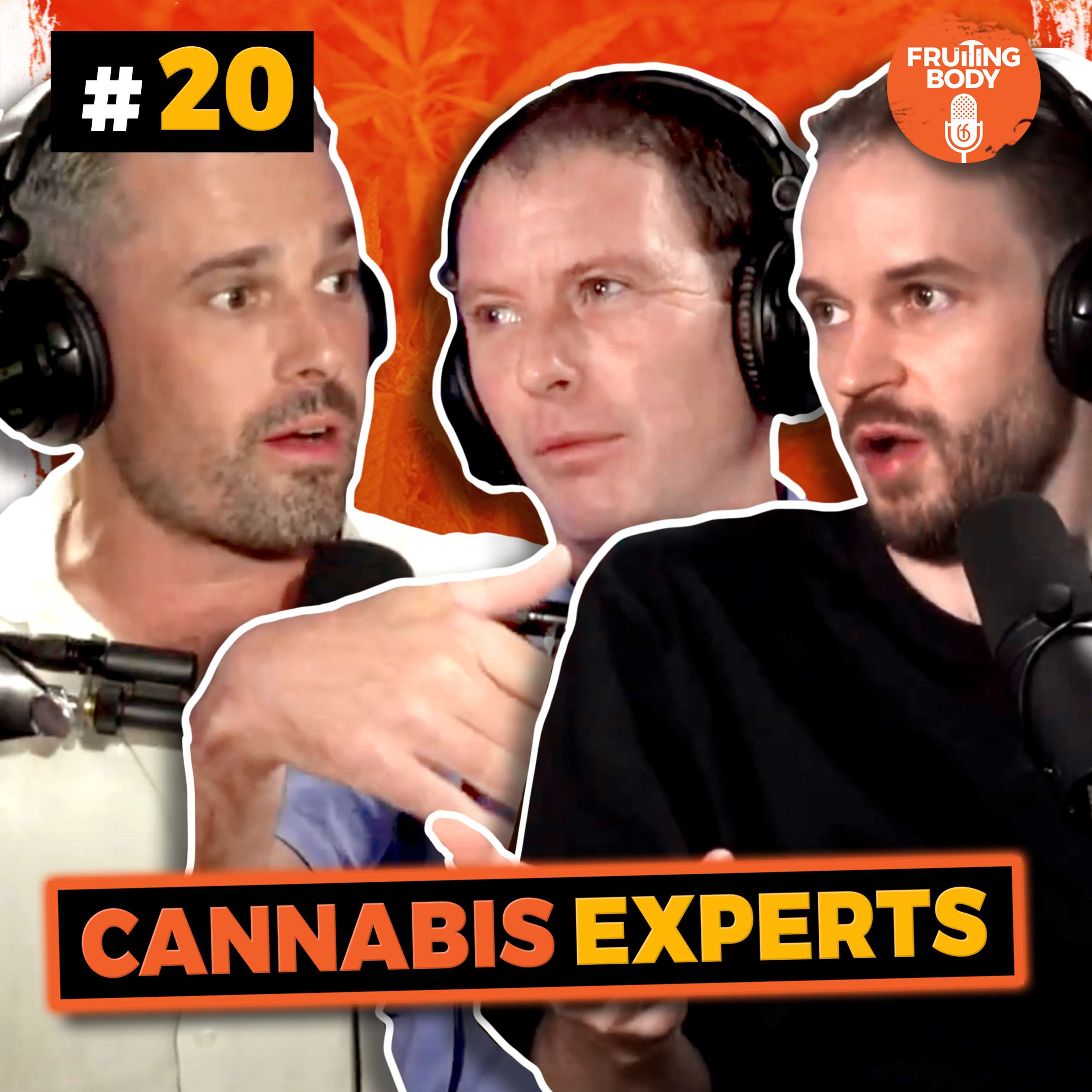 Thailand Cannabis Experts Give us a Roadmap  || Nicolas Mattingly & James Donald