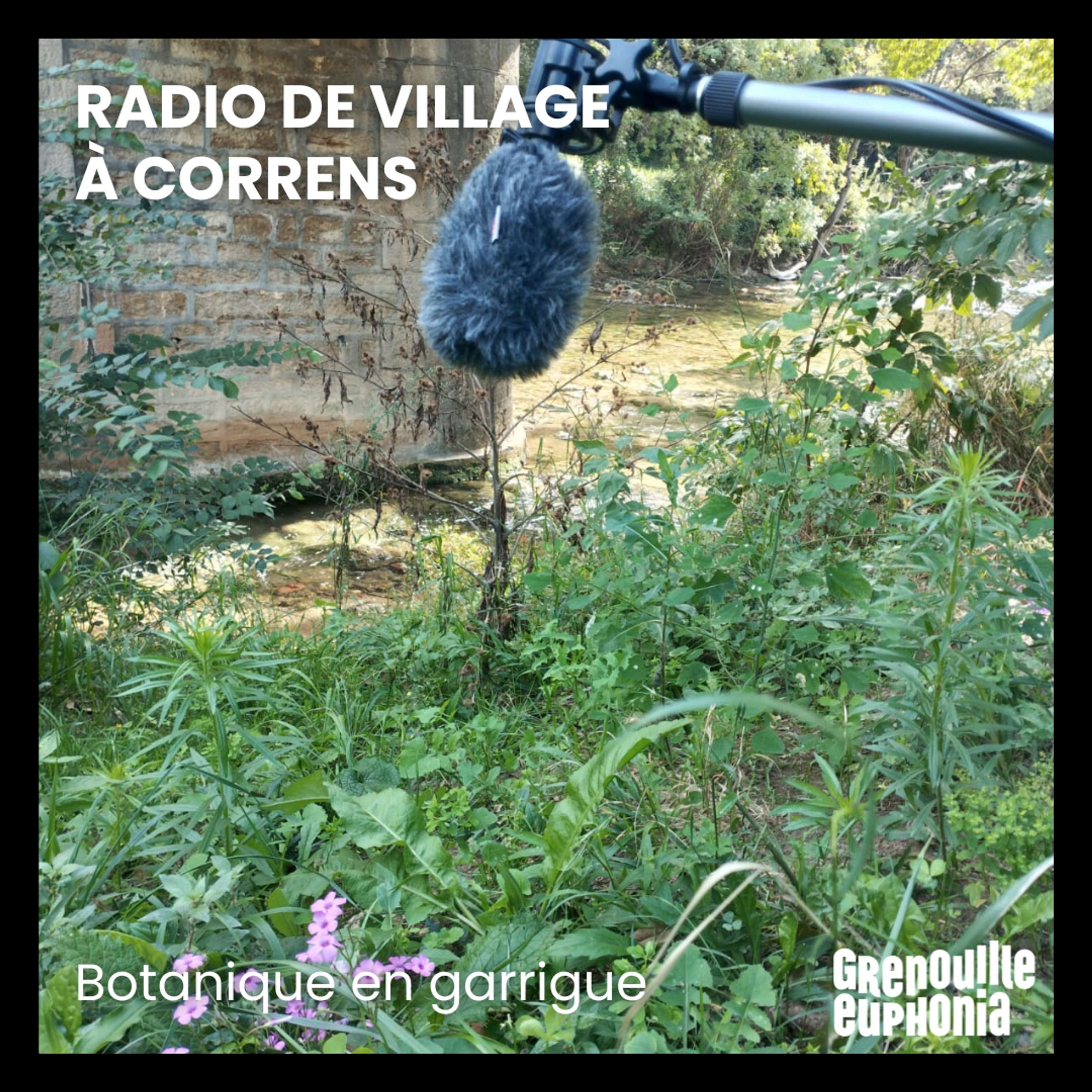 Radio de Village à Correns