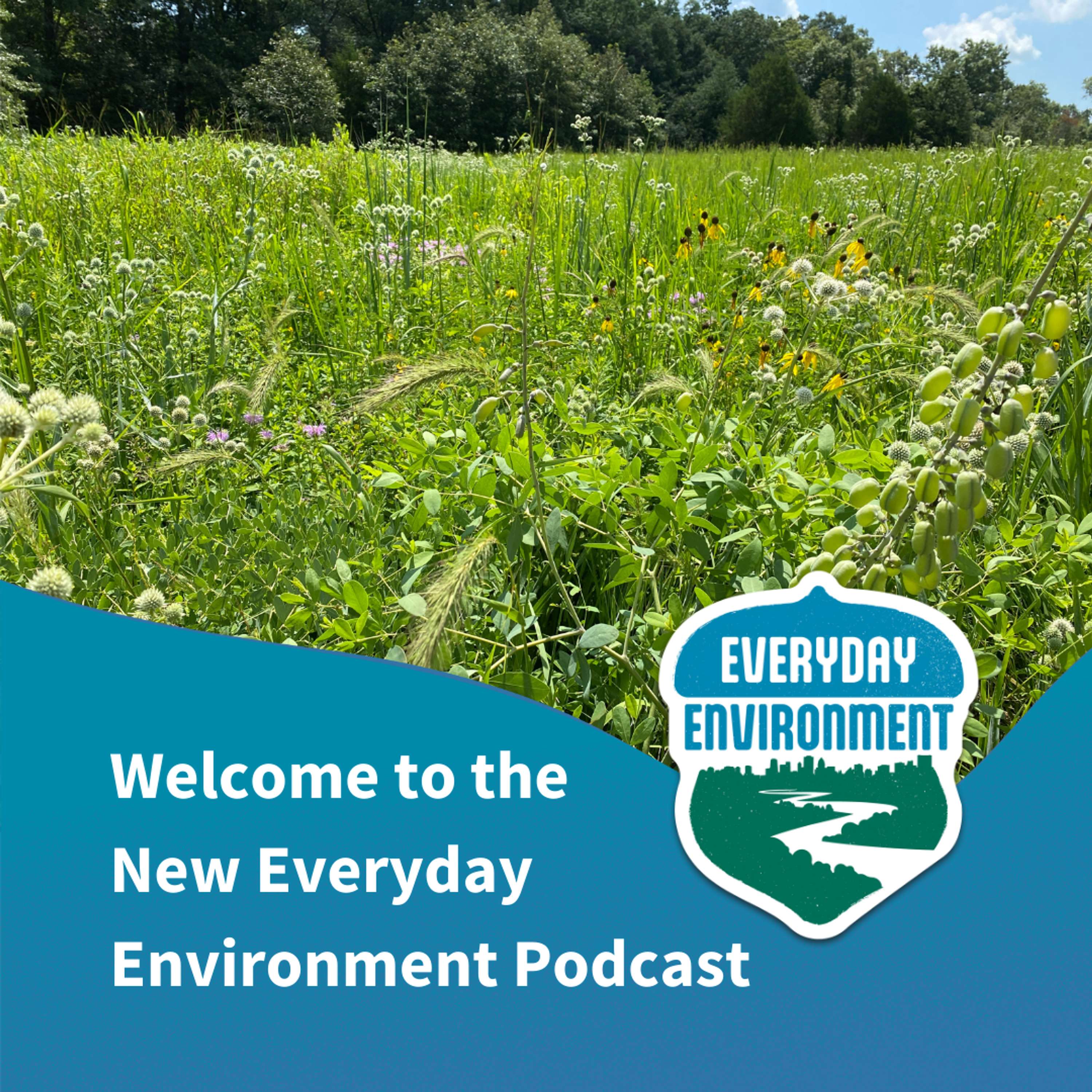 Everyday Environment Podcast