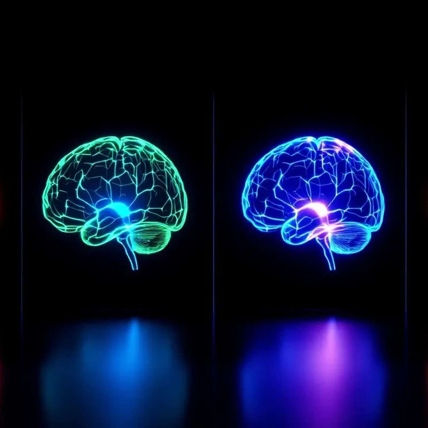 Decision-Making Brain Subtypes: Are fMRI Averages Misleading? episode artwork