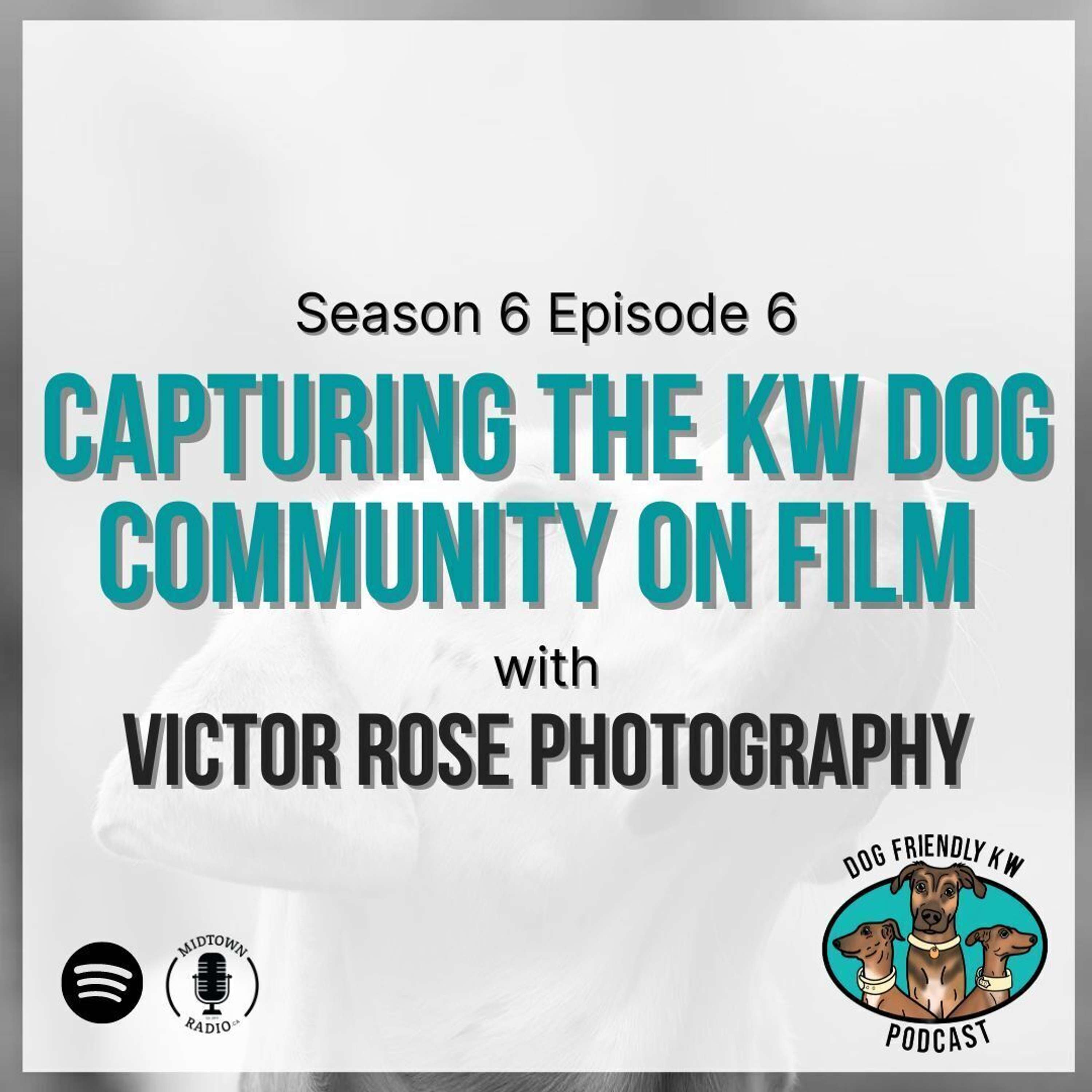 Full Episode: Capturing our CANINE COMMUNITY ON FILM w/ Victor Dinh of Victor Rose Photography