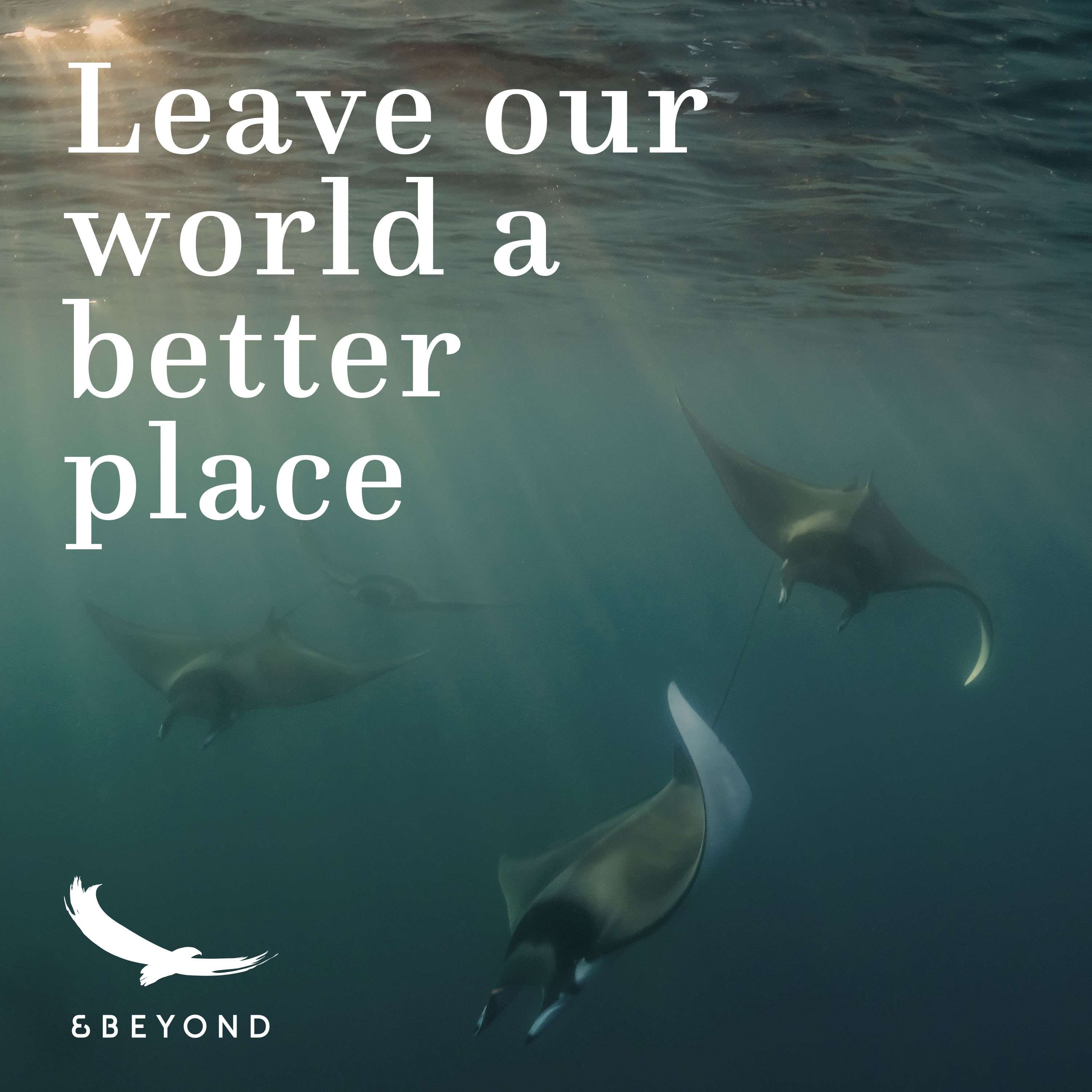 Better World