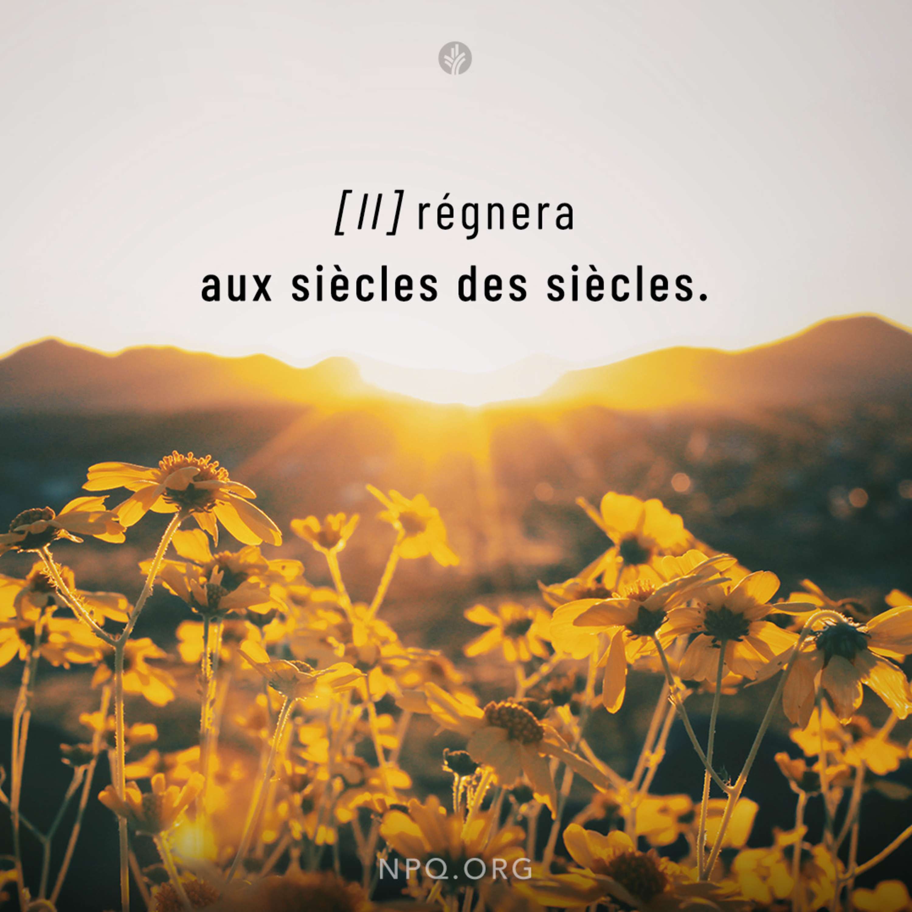 Notre Pain Quotidien podcast
