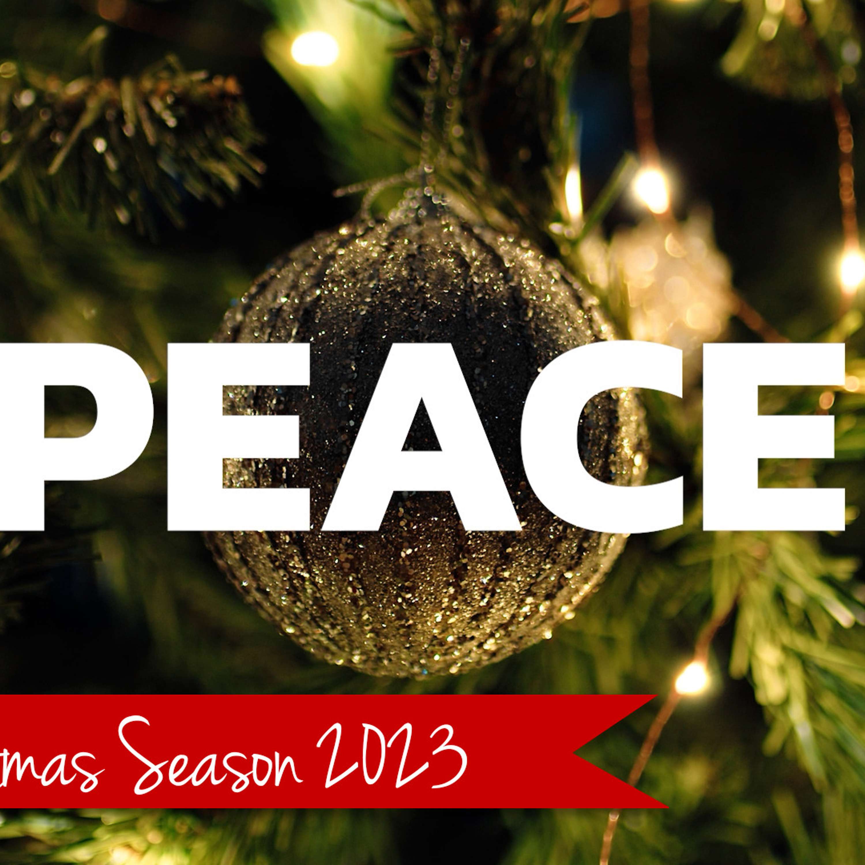 Joy of Every Longing Heart - Peace