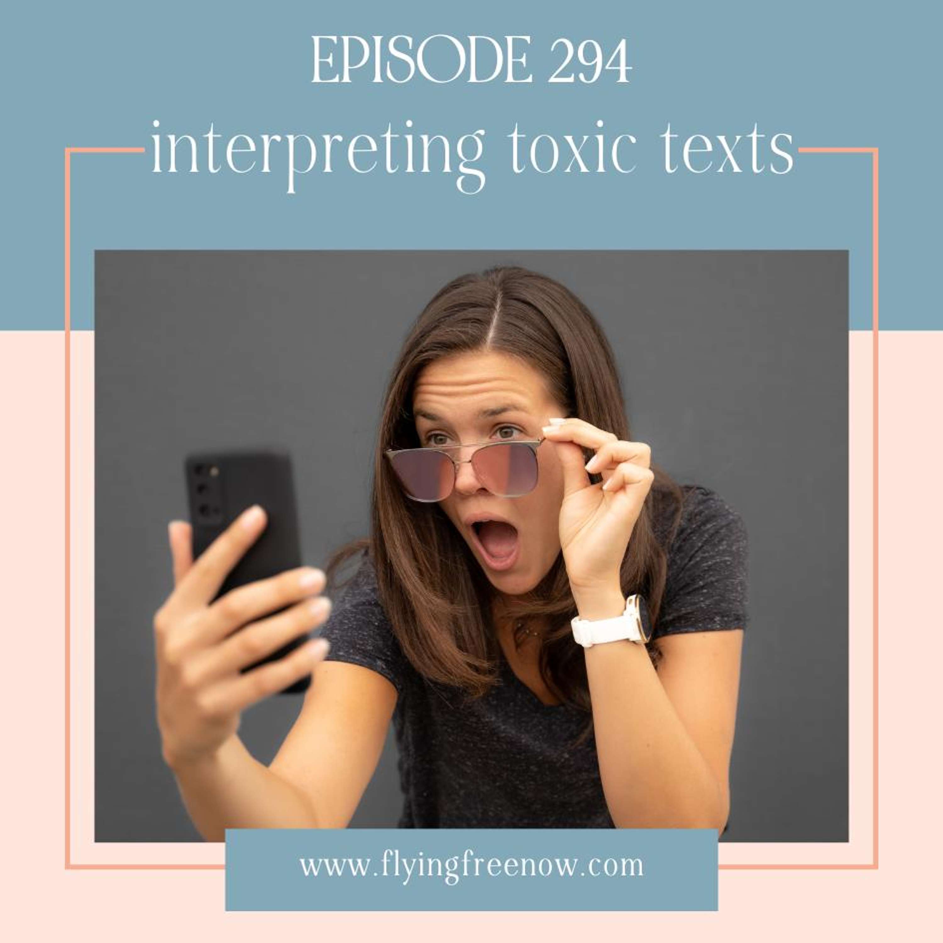 Interpreting Toxic Texts [294]