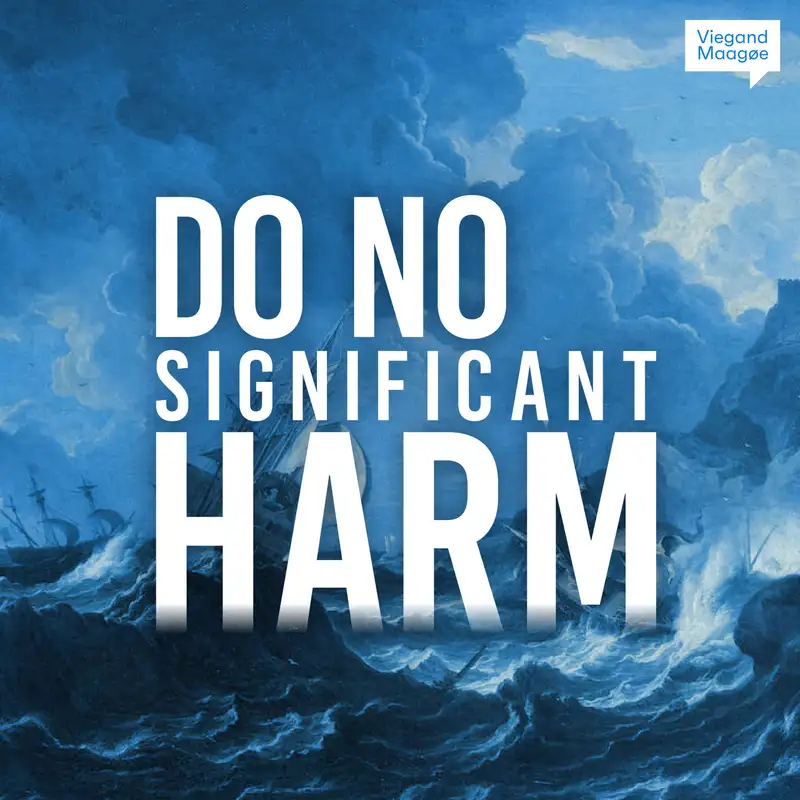 Do No Significant Harm