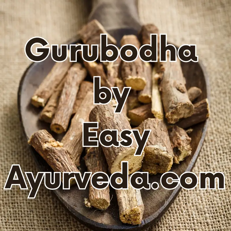 GURUBODHA 56: Yastimadhu | Liquorice In Male Fertility | Post Covid Vaccine Neuropathy Managemen