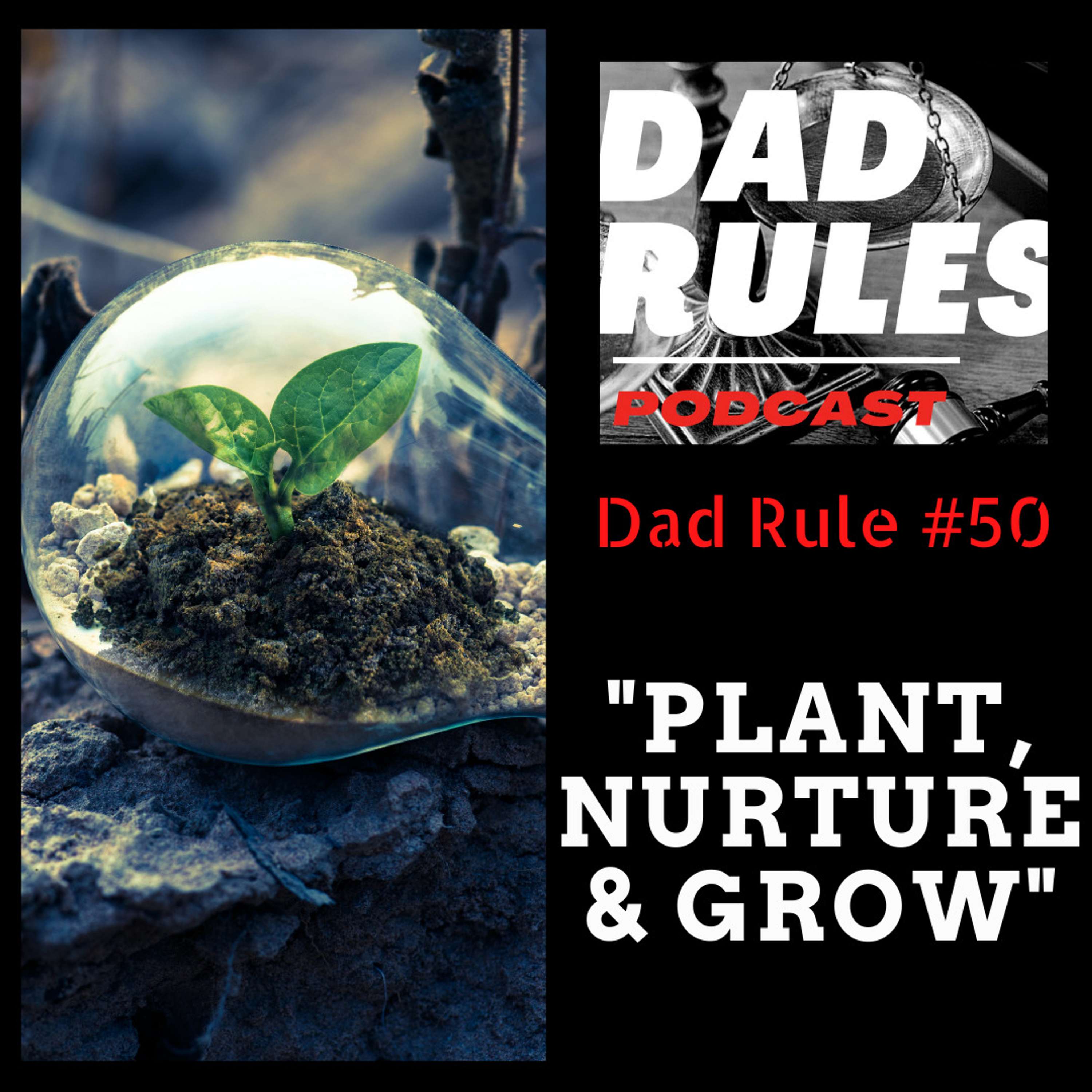 The Dad Rules Podcast