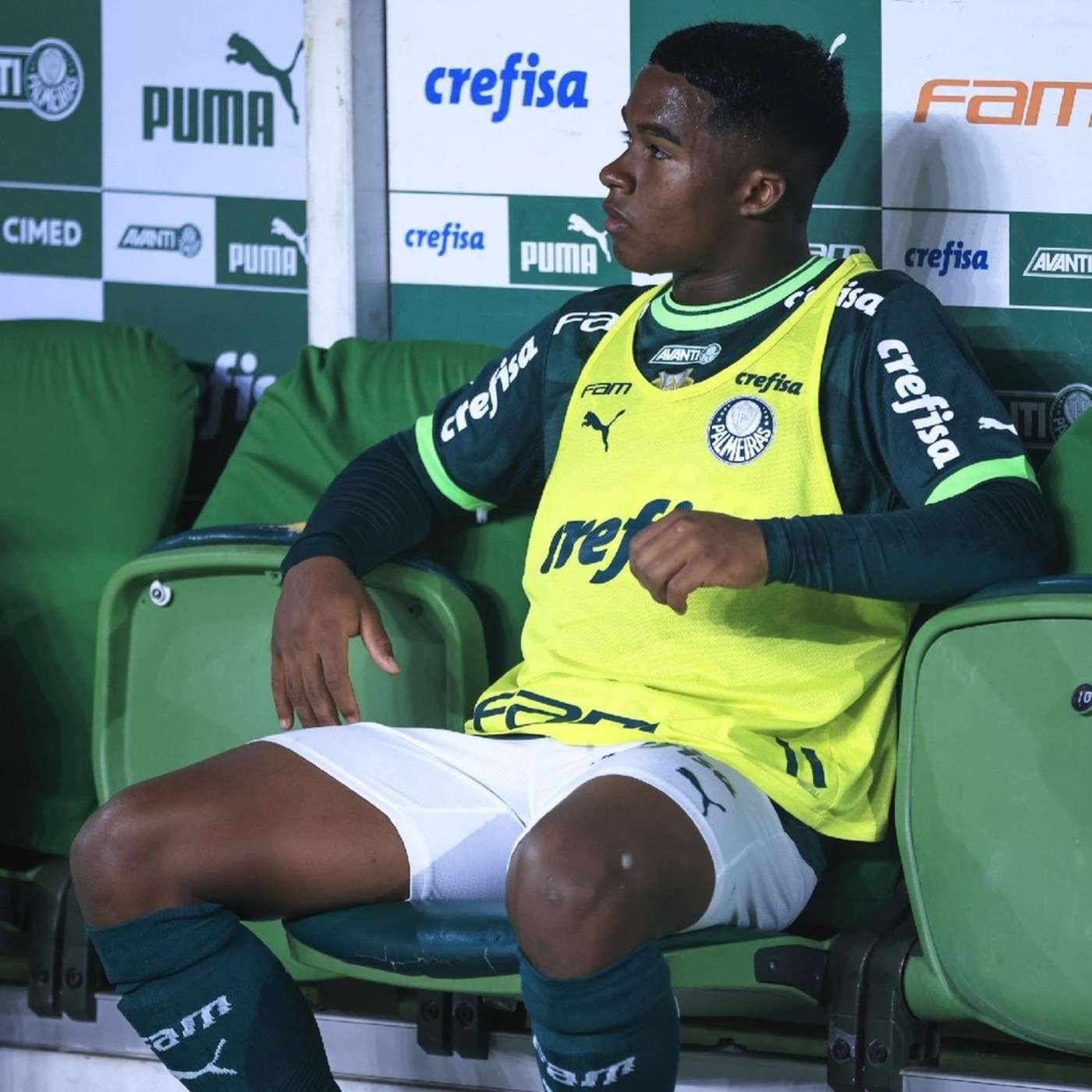 Parlando de Palmeiras
