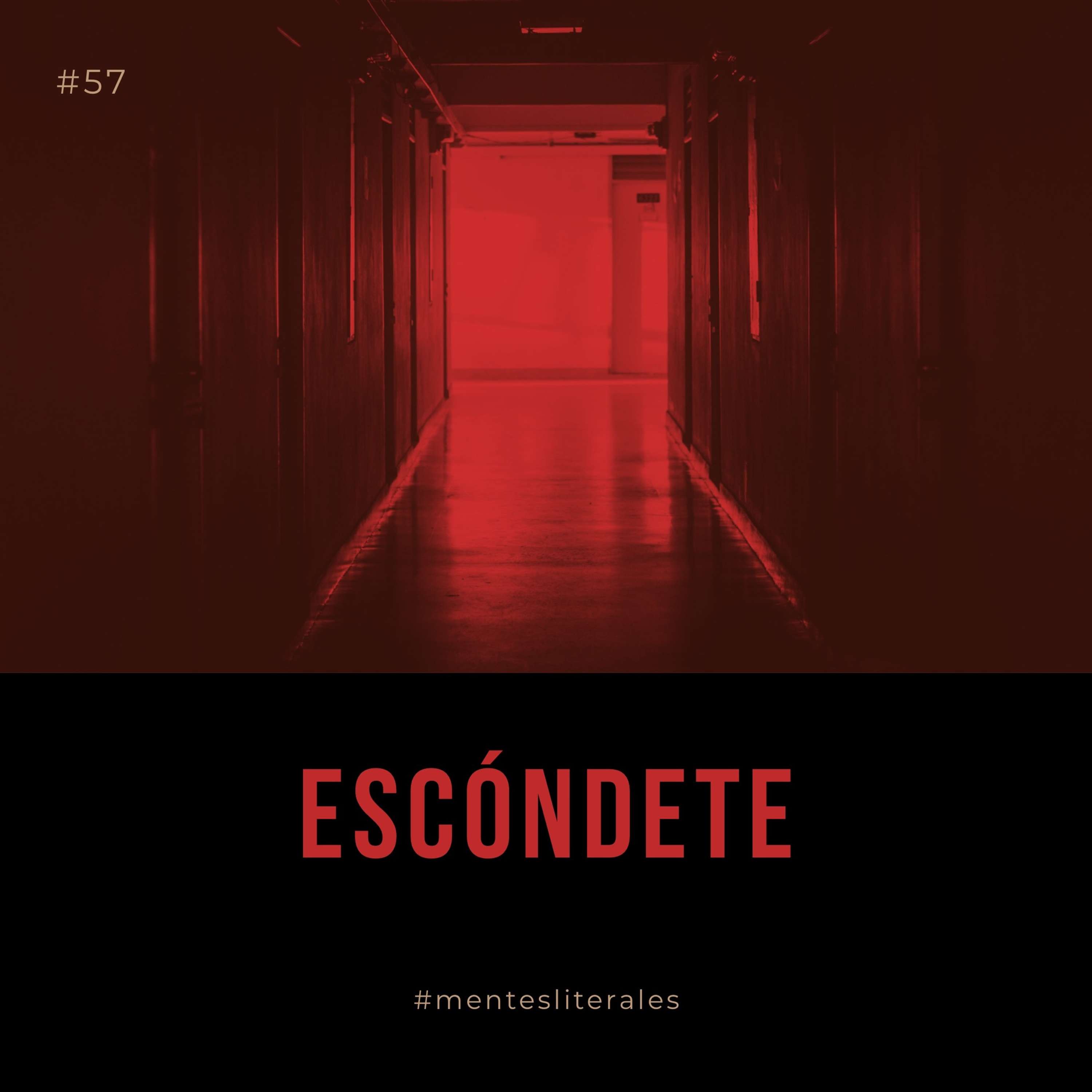 MentesLiterales - Recomendaciones y Reseñas de Libros