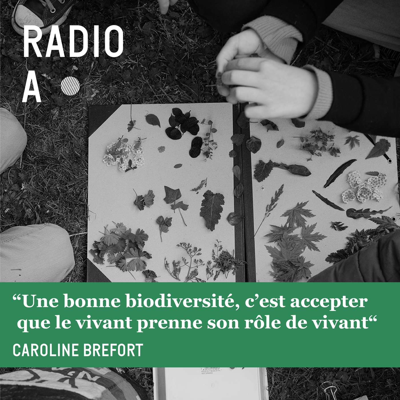 “Une bonne biodiversité c’est accepter que le vivant prenne son rôle de vivant“ - Caroline Brefort “Une bonne biodiversité c’est accepter que le vivant prenne son rôle de vivant“ - Caroline Brefort