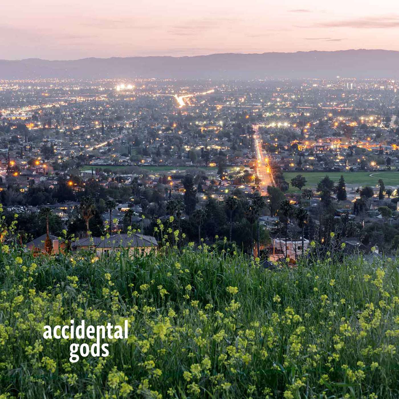 Accidental Gods