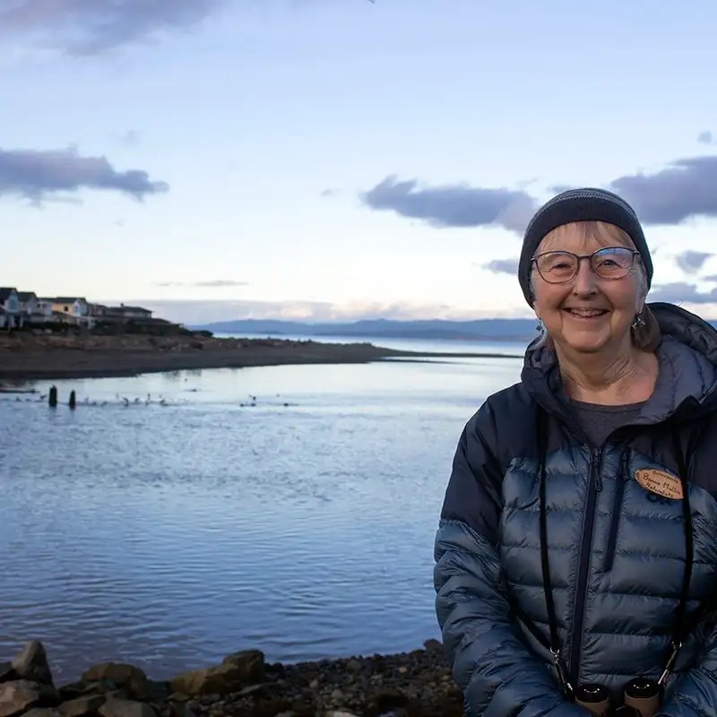 Celebrating a 5th anniversary by winter birding on the BC Bird Trail