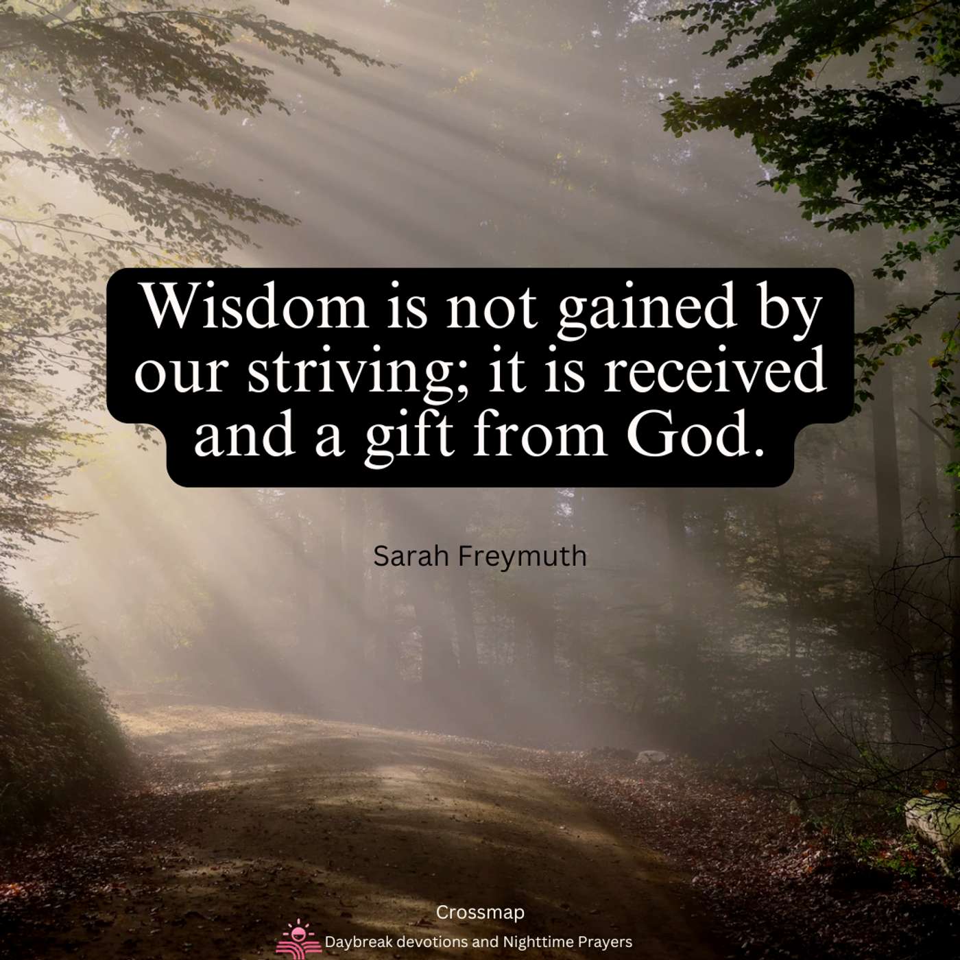 The Generosity of God's Wisdom