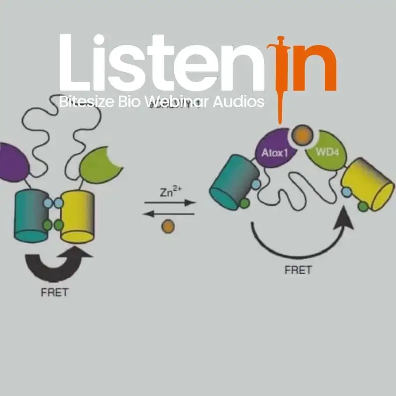 Basics of FLIM and Applications to FRET Biosensors