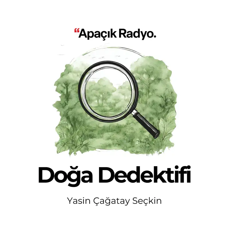 Doğa Dedektifi