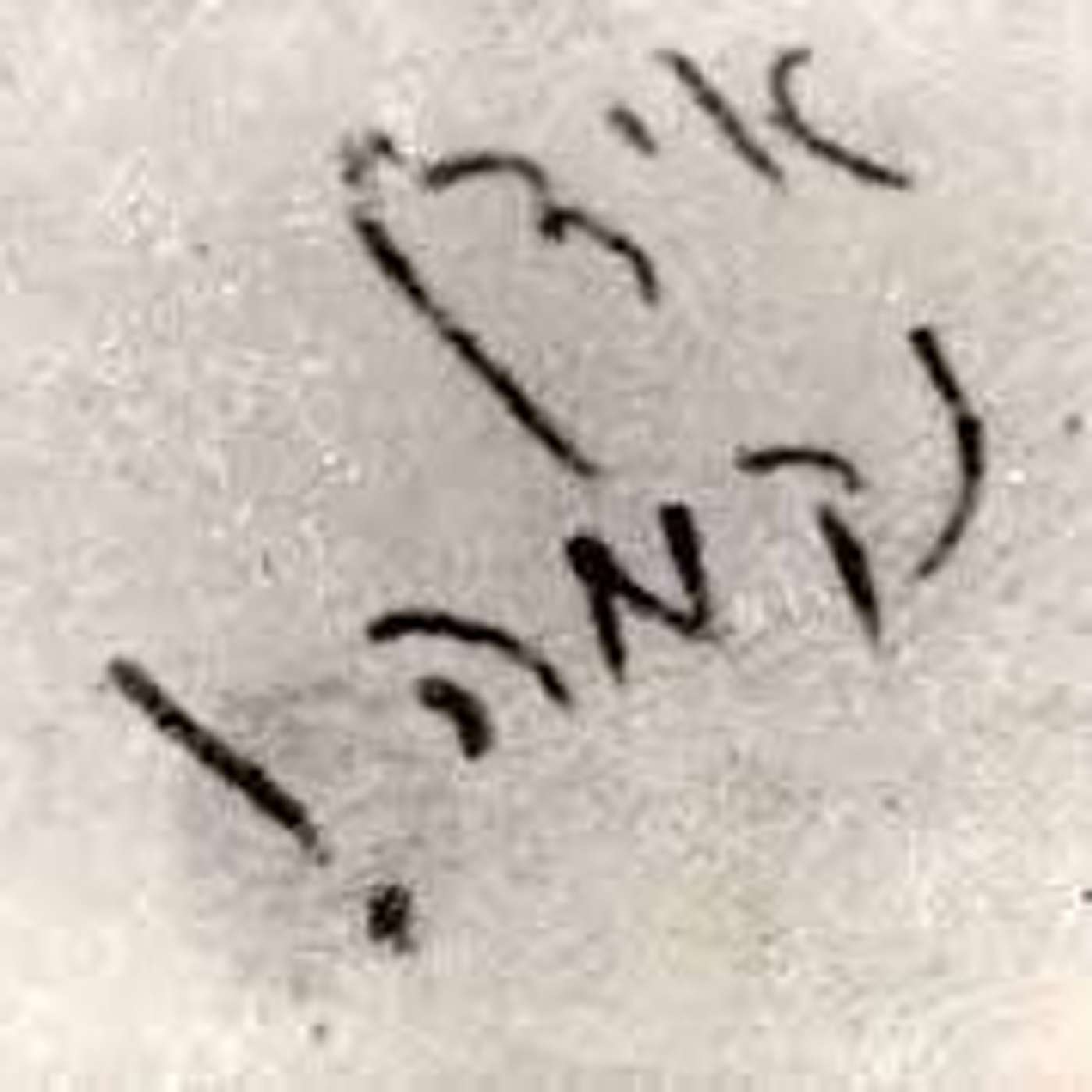 Reclaiming the Term \