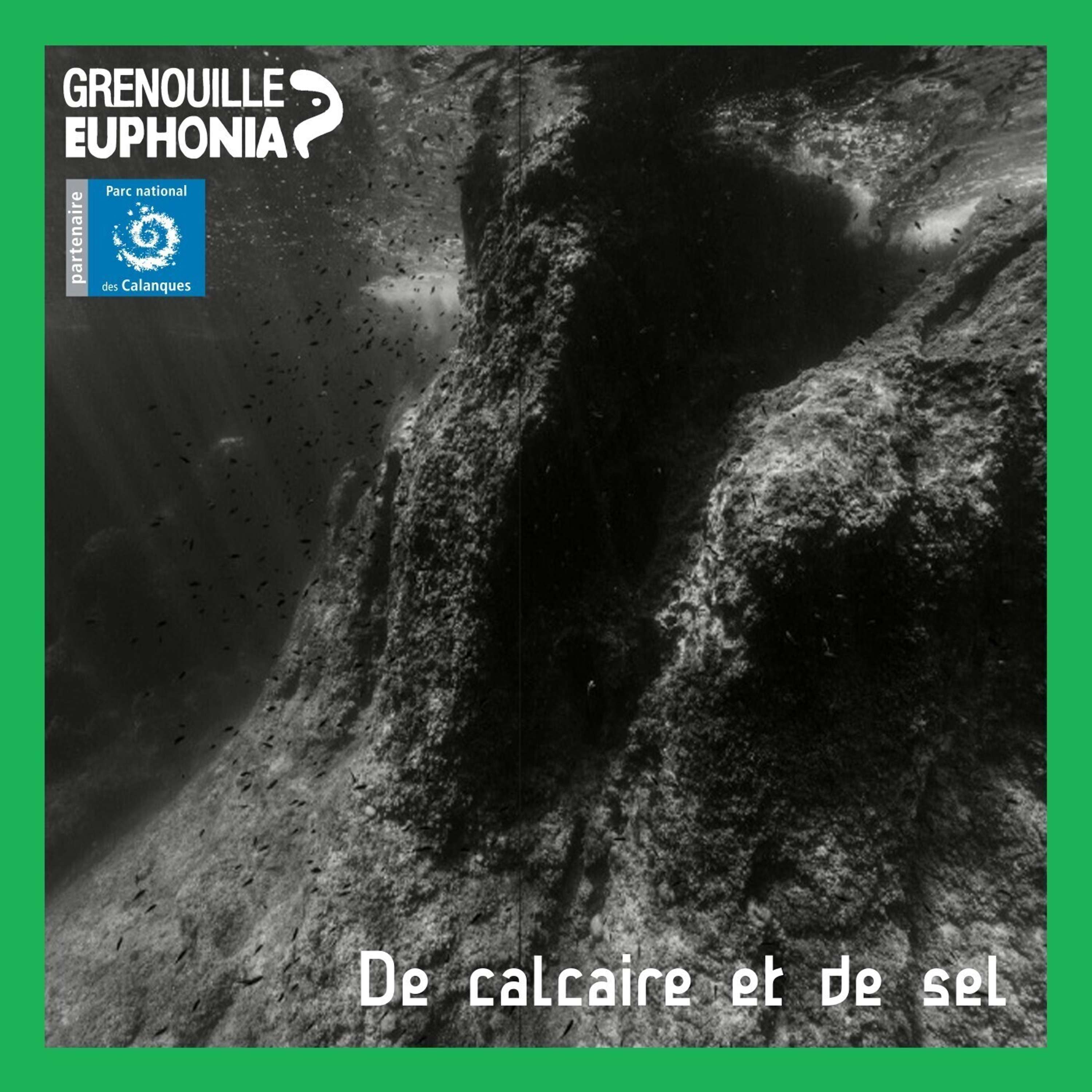 De calcaire et de sel - Radio Grenouille et le Parc National des Calanques