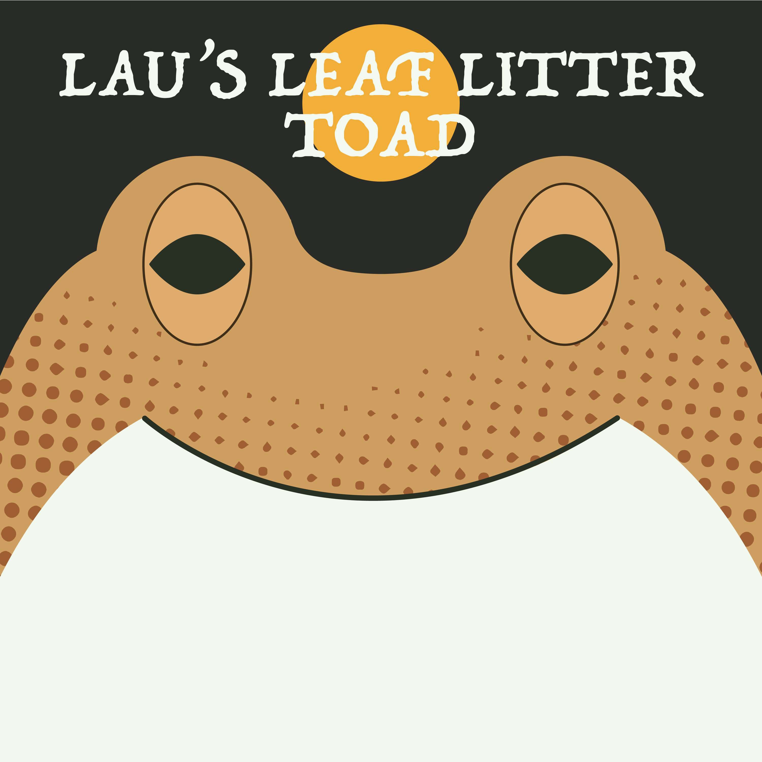 Lau's Leaf Litter Toad | Week of OcTOADber 3rd