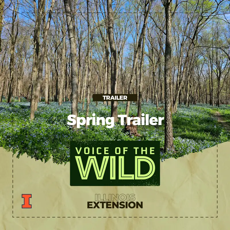 Spring Trailer